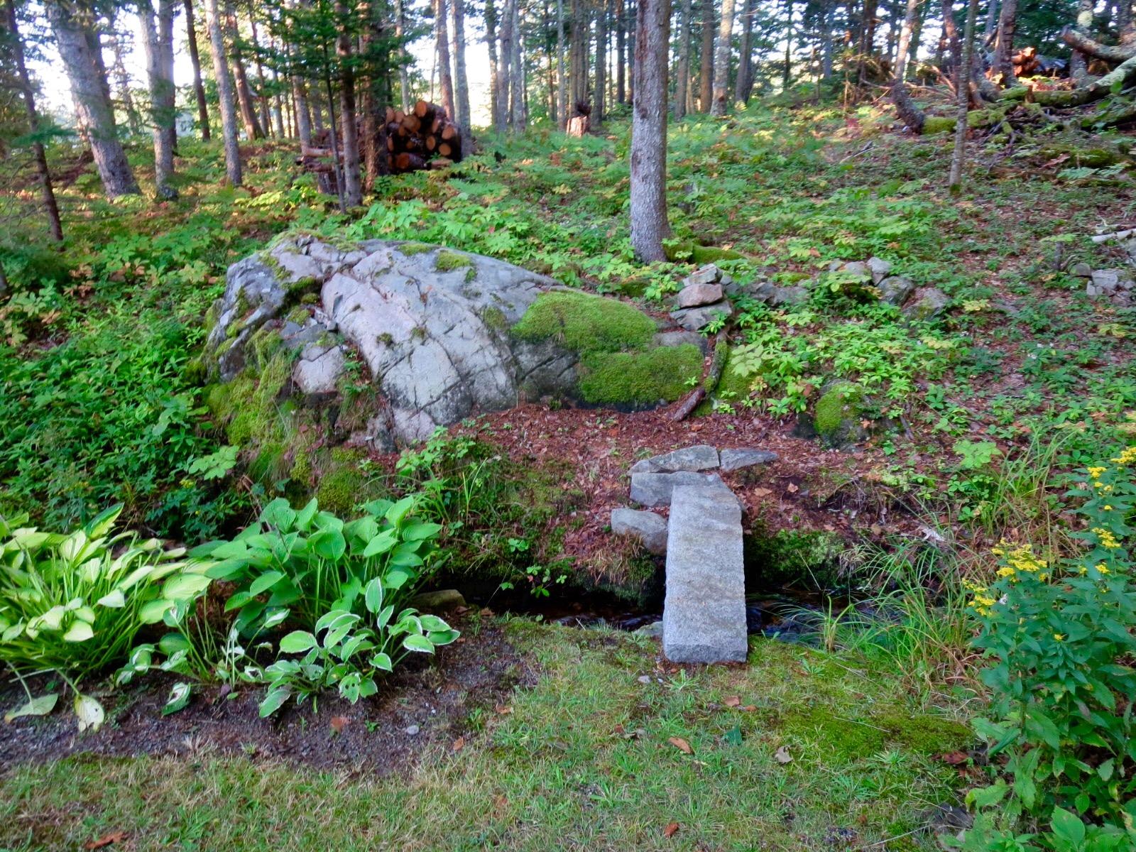 127 Paul Bunyan Road Corea, ME 04624 - Photo 32 of 46 Path to woods and along shore.