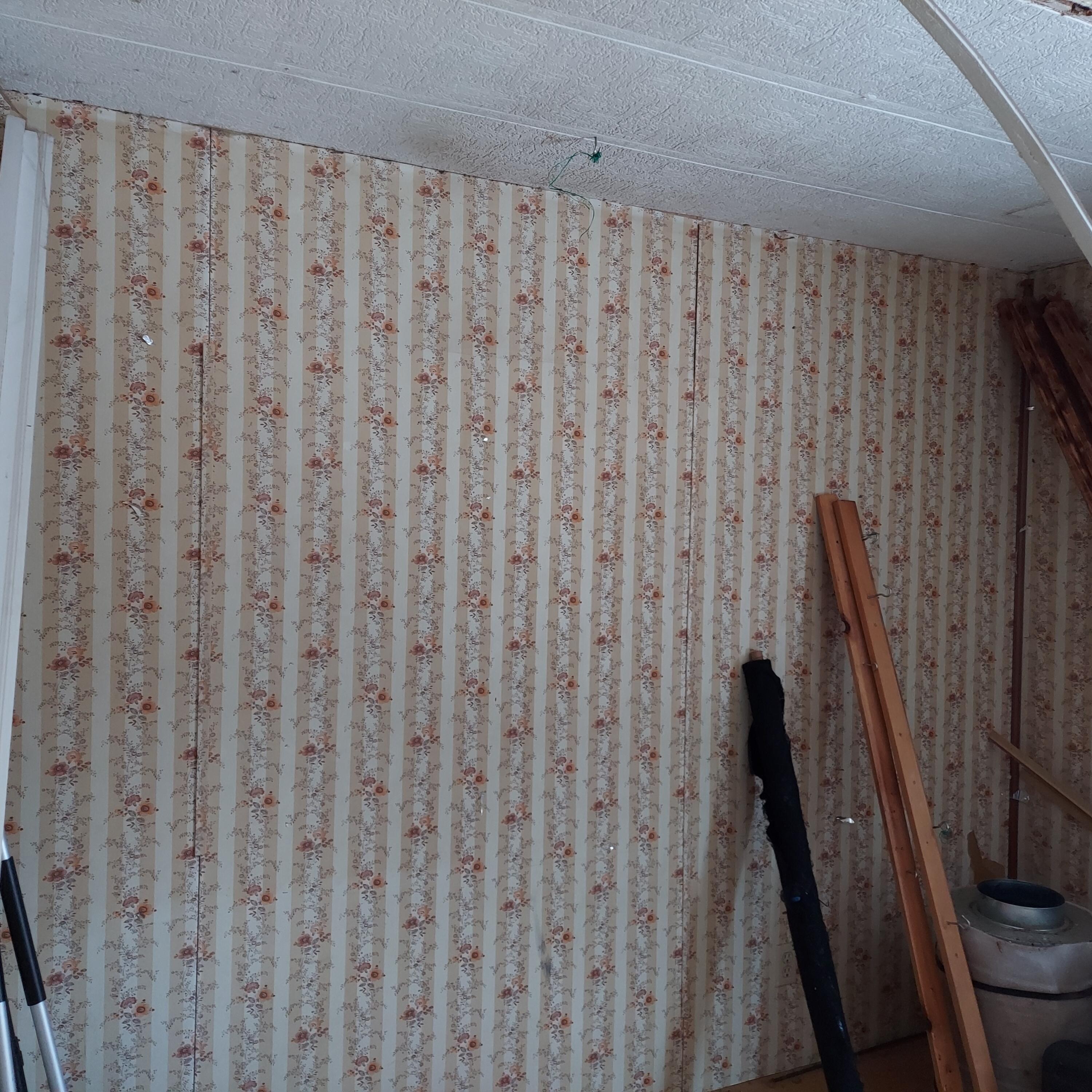 4 Mitchell Brook Road Temple, ME 04984 - Photo 19 of 33 20240104_142647