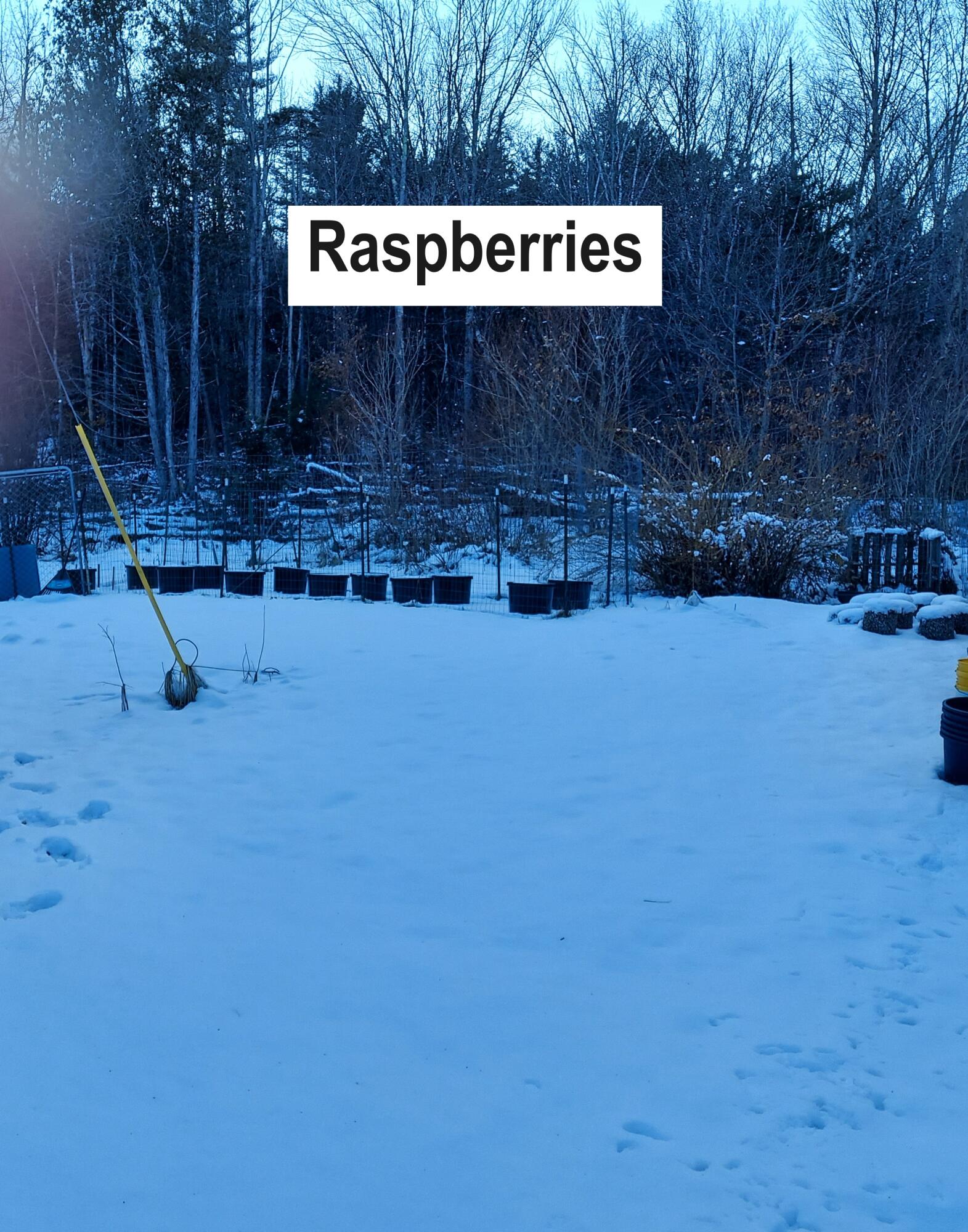 4 Mitchell Brook Road Temple, ME 04984 - Photo 25 of 33 20240104_144619