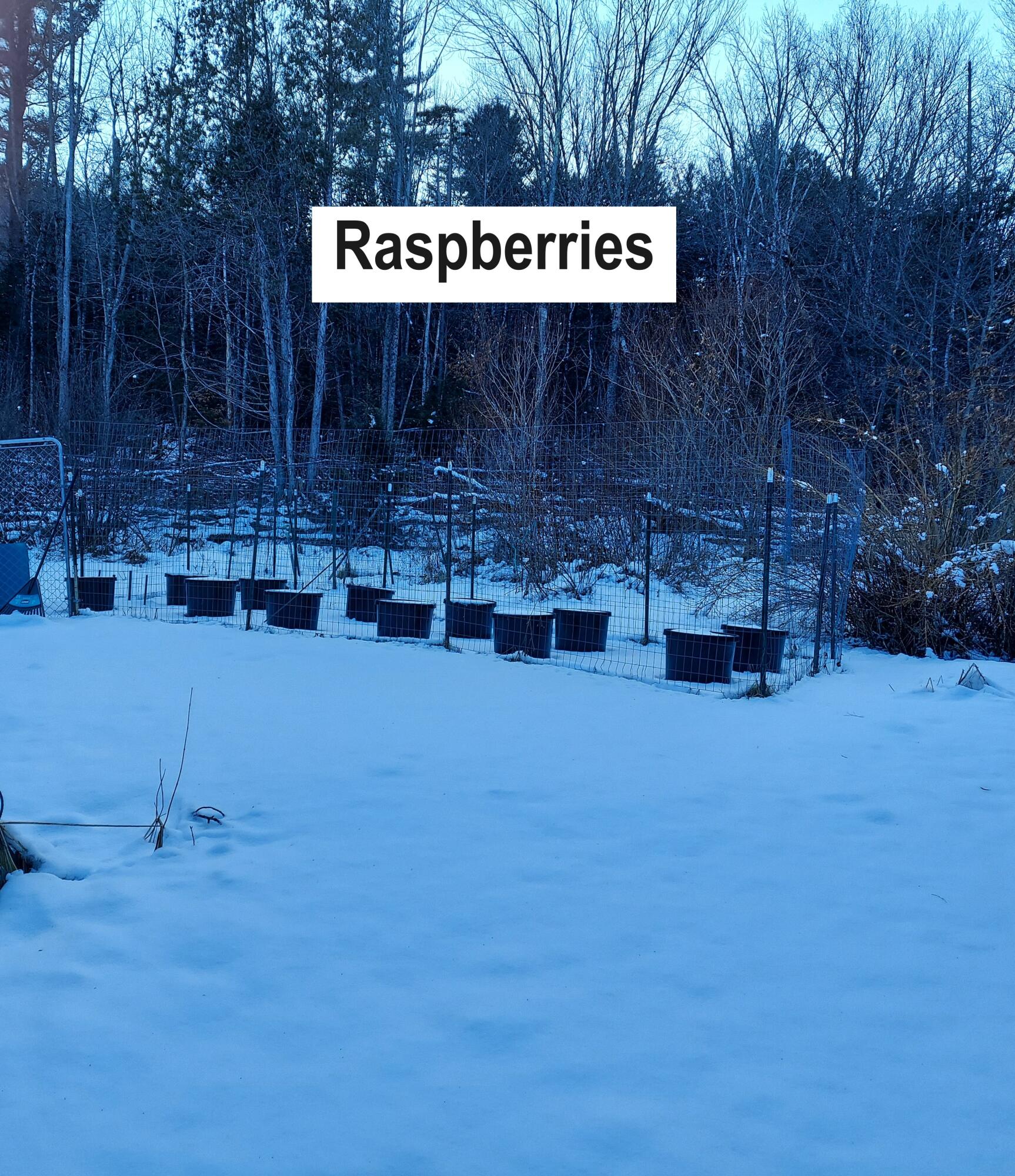 4 Mitchell Brook Road Temple, ME 04984 - Photo 26 of 33 20240104_144632