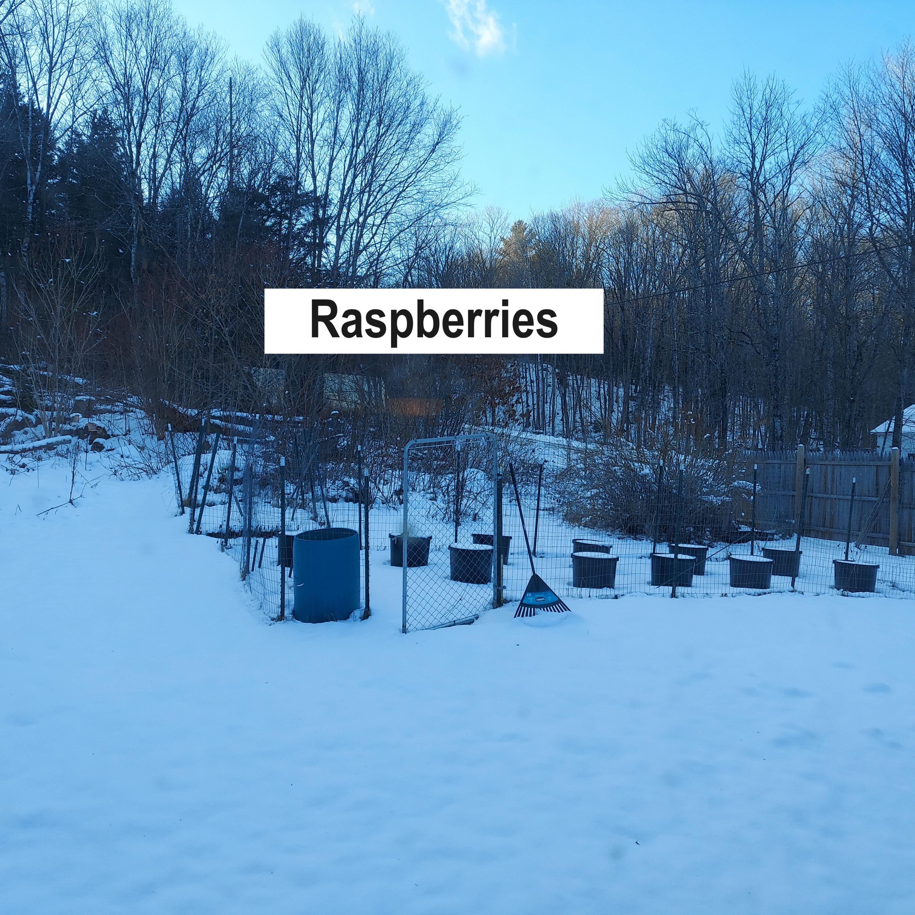 4 Mitchell Brook Road Temple, ME 04984 - Photo 27 of 33 20240104_142852