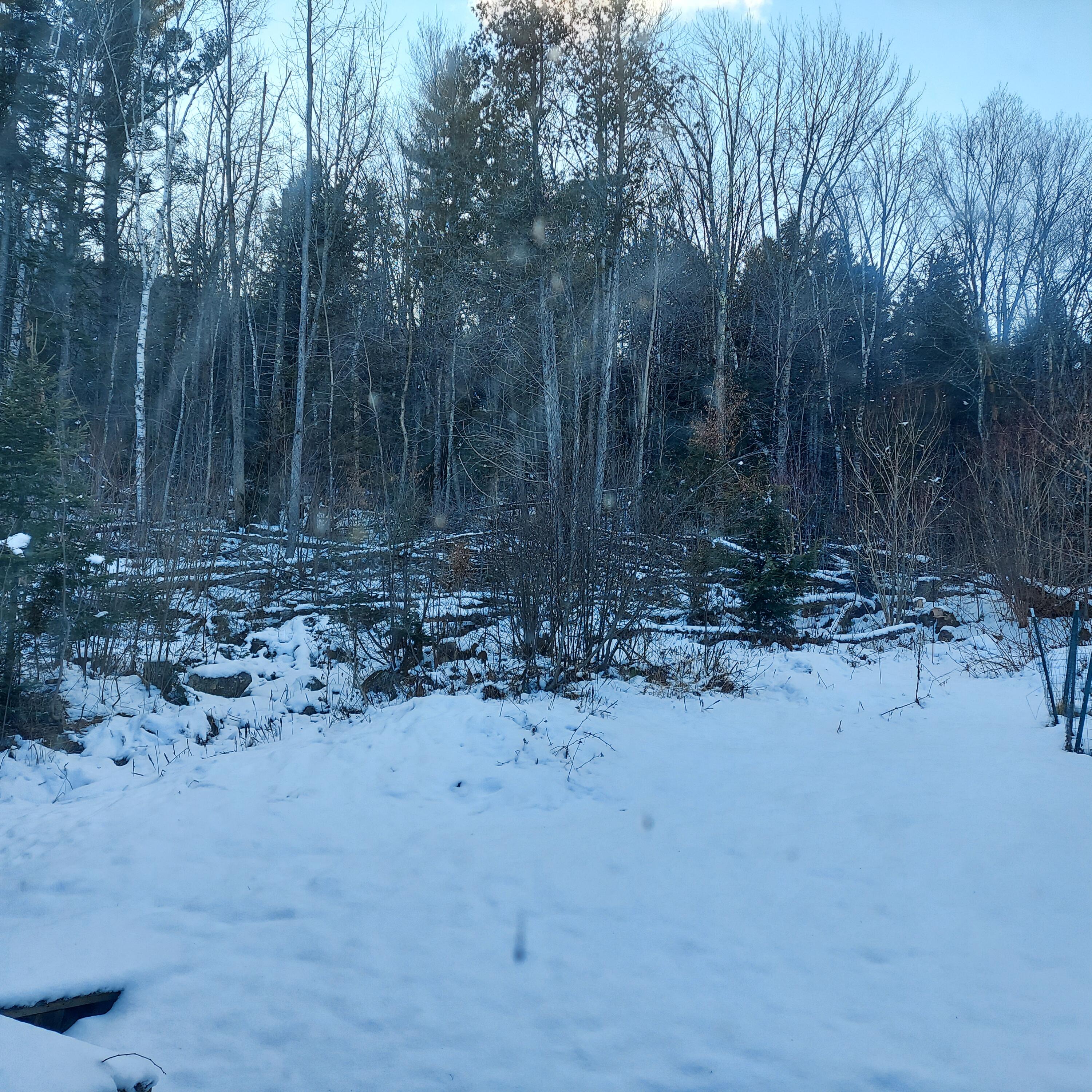 4 Mitchell Brook Road Temple, ME 04984 - Photo 29 of 33 20240104_142859