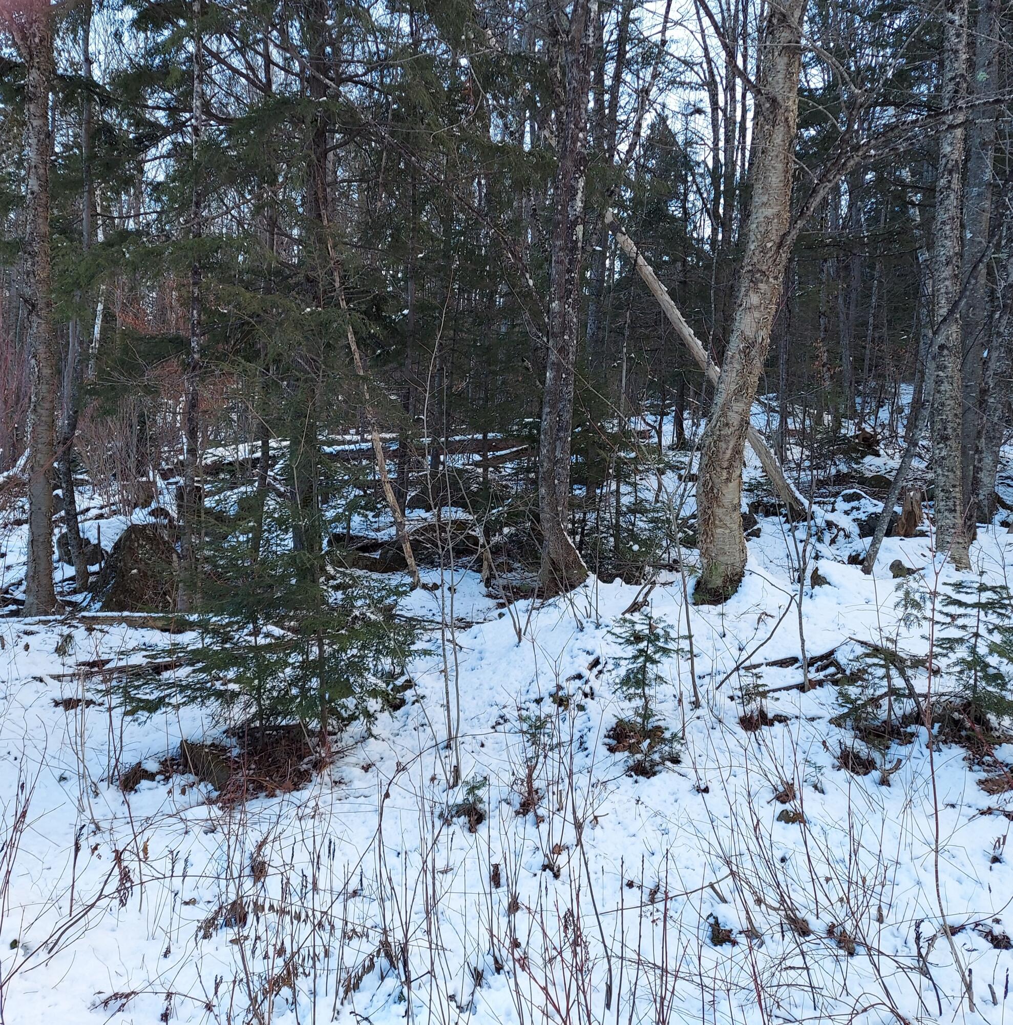 4 Mitchell Brook Road Temple, ME 04984 - Photo 30 of 33 20240104_144100