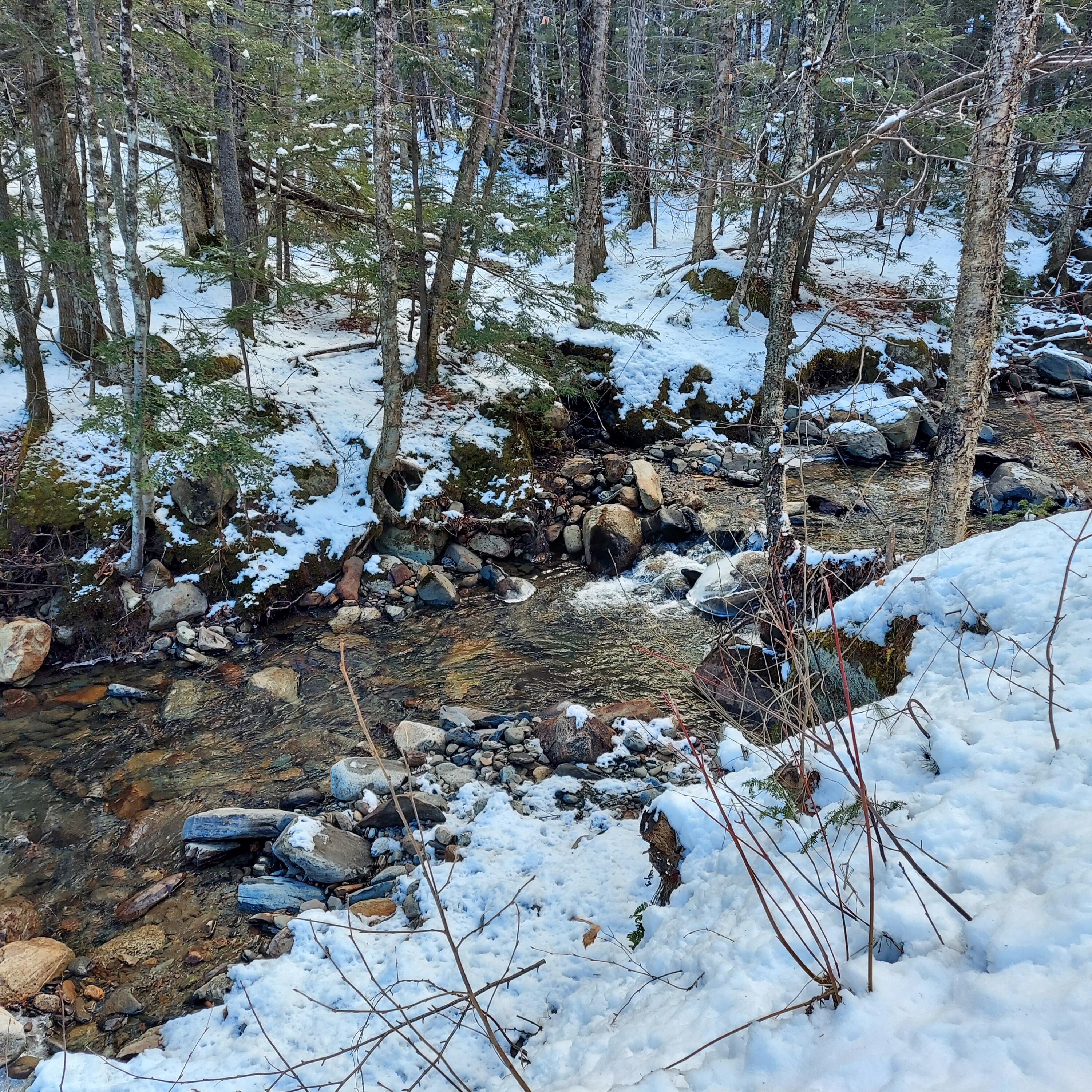 4 Mitchell Brook Road Temple, ME 04984 - Photo 32 of 33 20240104_143920