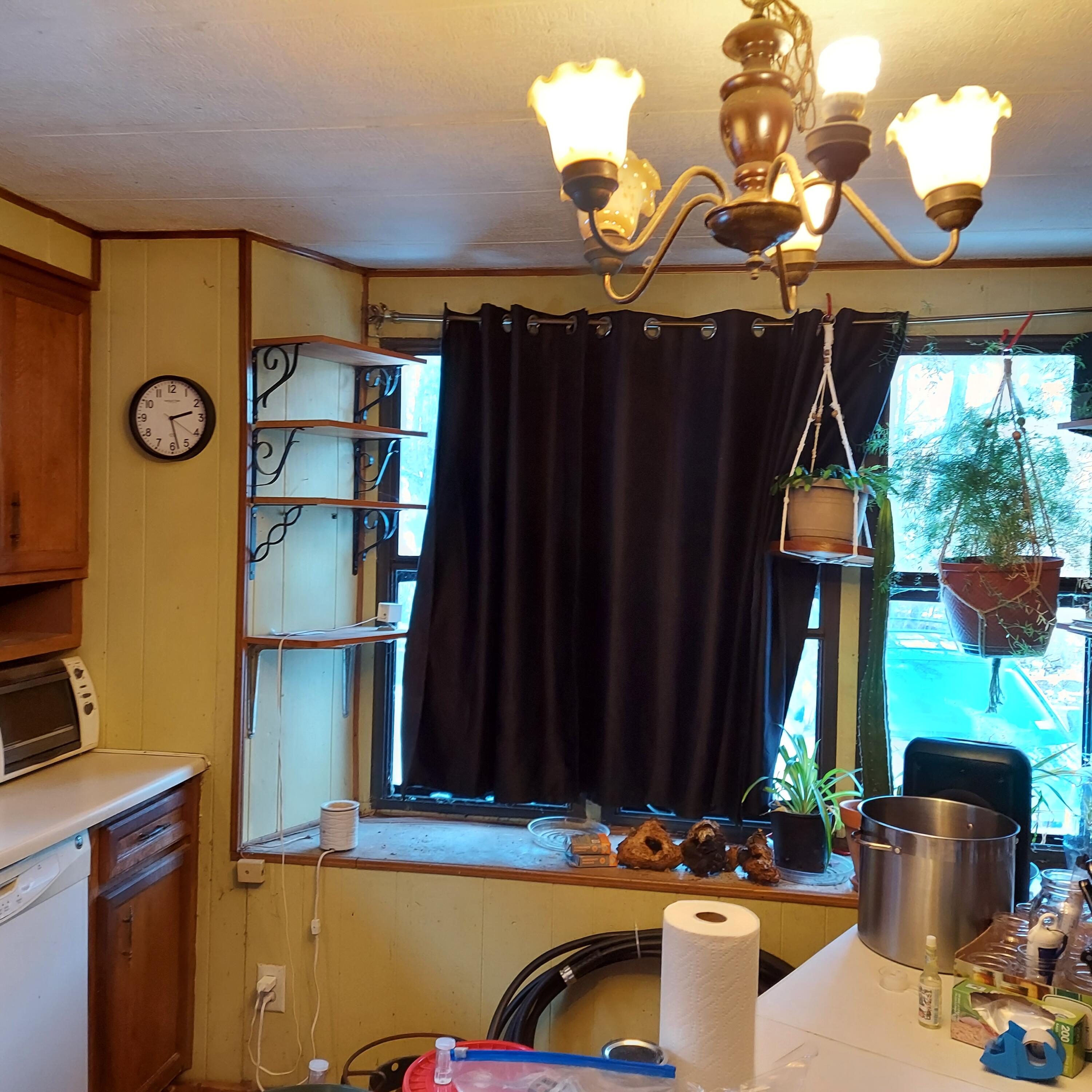 4 Mitchell Brook Road Temple, ME 04984 - Photo 10 of 33 20240104_142608