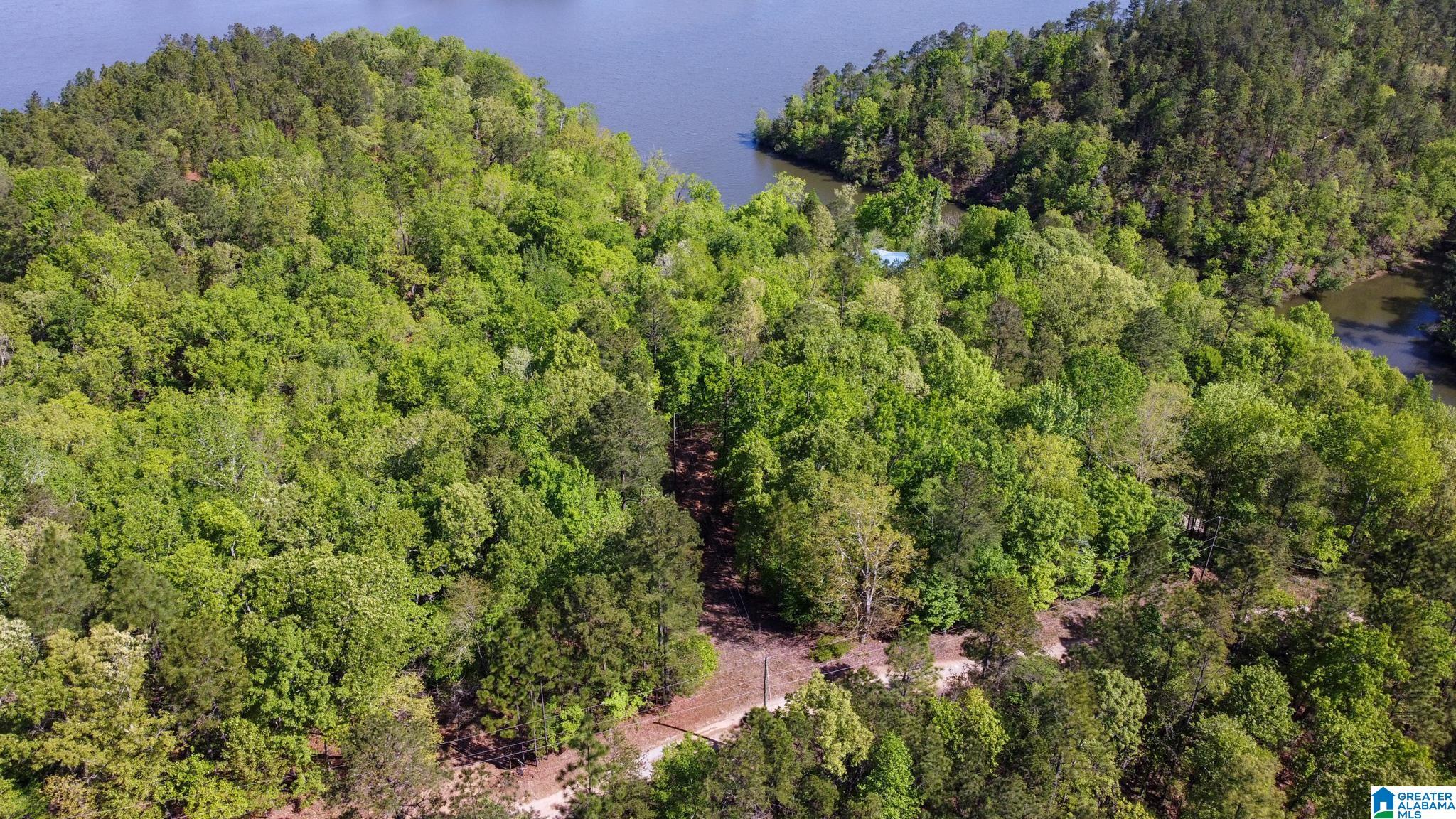 517 Indian Springs Road Rockford, AL 35136 - Photo 32 of 39