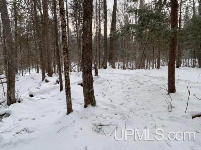 Tbd Rabbit Bay Road Lake Linden, MI 49945 - Photo 30 of 40 Gallery Image 30