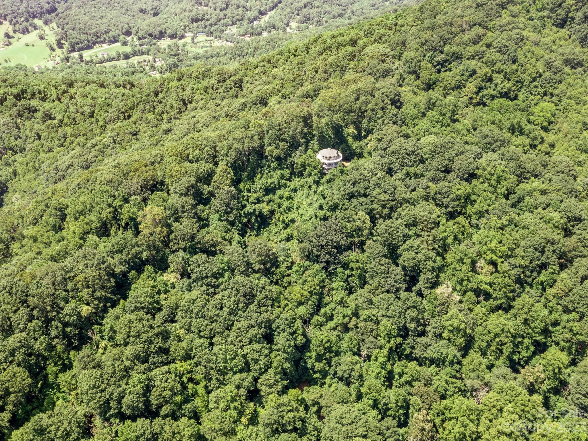 39 Rising Sun Road Candler, NC 28715 - Photo 14 of 41 a view of a large yard with lots of green space