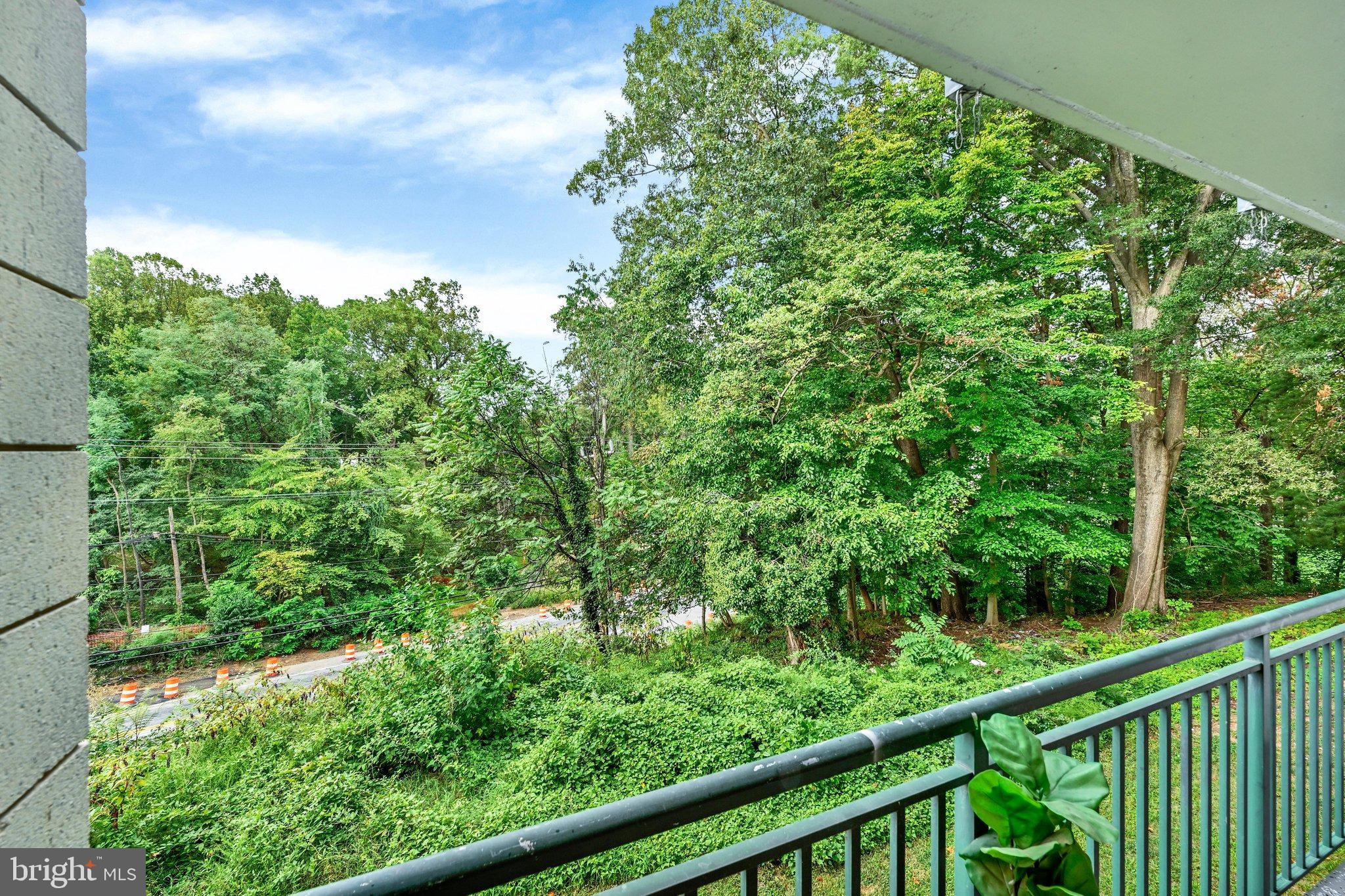 1800 Metzerott Road, Unit 103 Adelphi, MD 20783 - Photo 17 of 20 Gallery Image 17