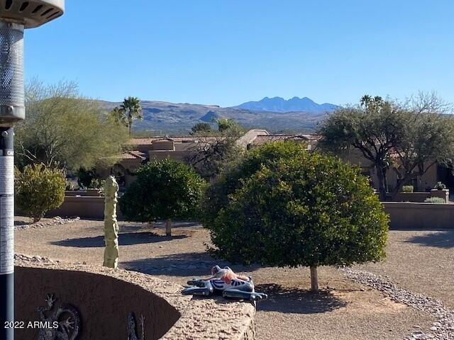 25609 Forest Road, Unit 15 Rio Verde, AZ 85263 - Photo 10 of 20 Back Patio Views