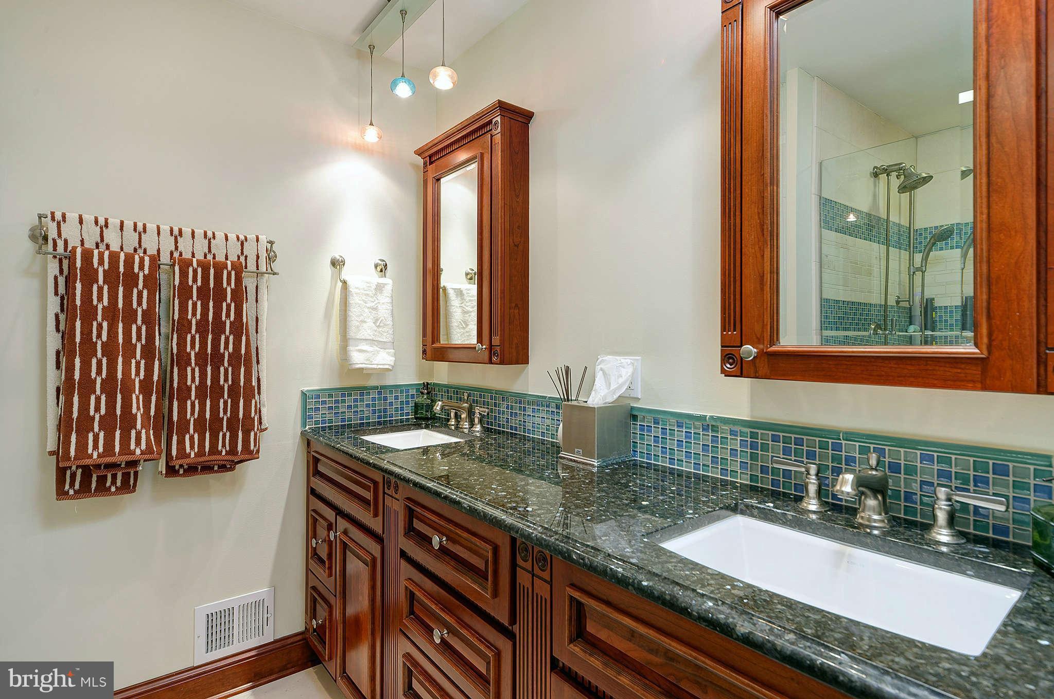 1141 Bandy Run Road Herndon, VA 20170 - Photo 14 of 27 Bath (Master)
