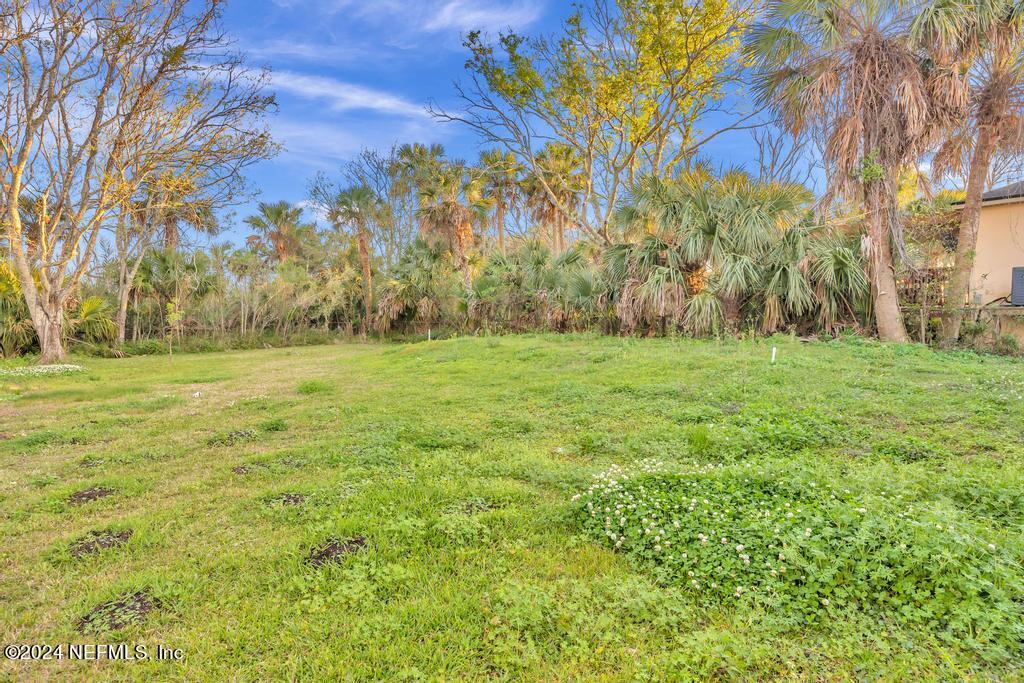 4623 Ribault Park Street Jacksonville, FL 32233 - Photo 27 of 30 a backyard of a house with lots of green space