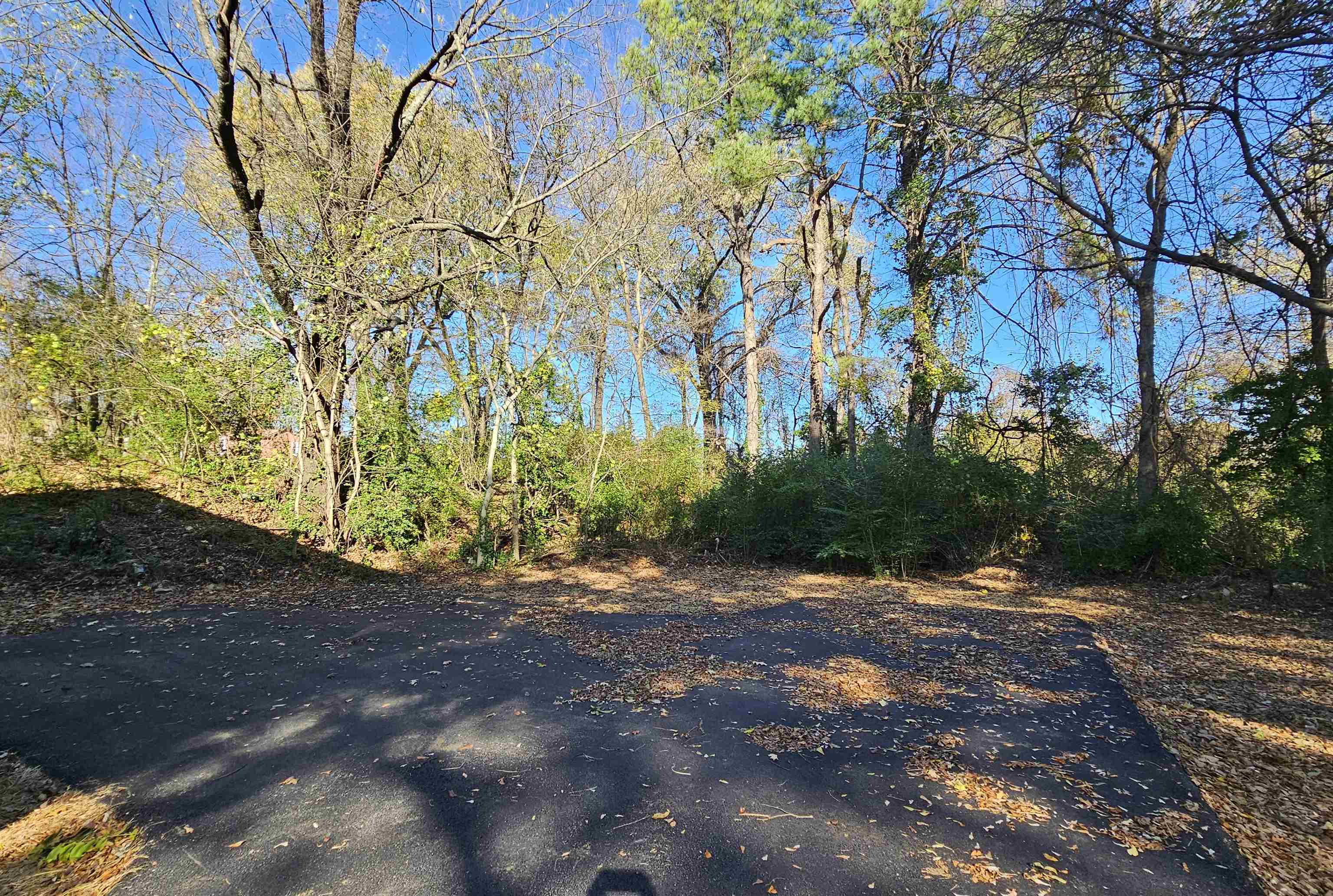 2234 East Alcy Road Memphis, TN 38114 - Photo 23 of 23 a view of backyard with green space