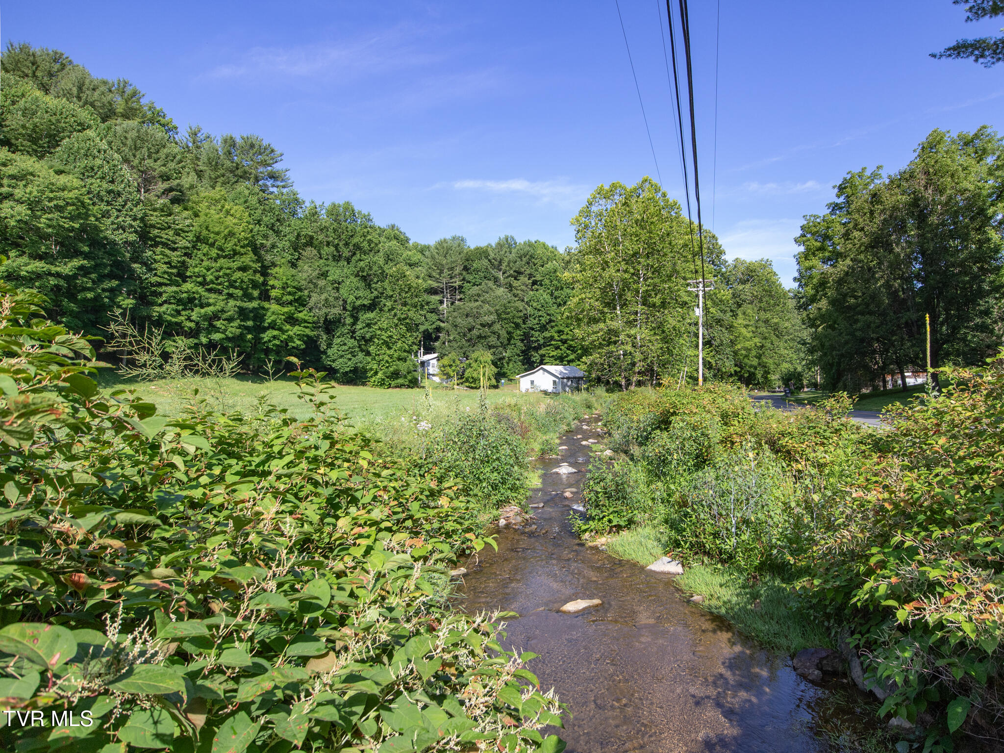 Tbd Shell Creek Road Roan Mountain, TN 37687 - Photo 5 of 12 Lot 3 Shell Creek Rd-08
