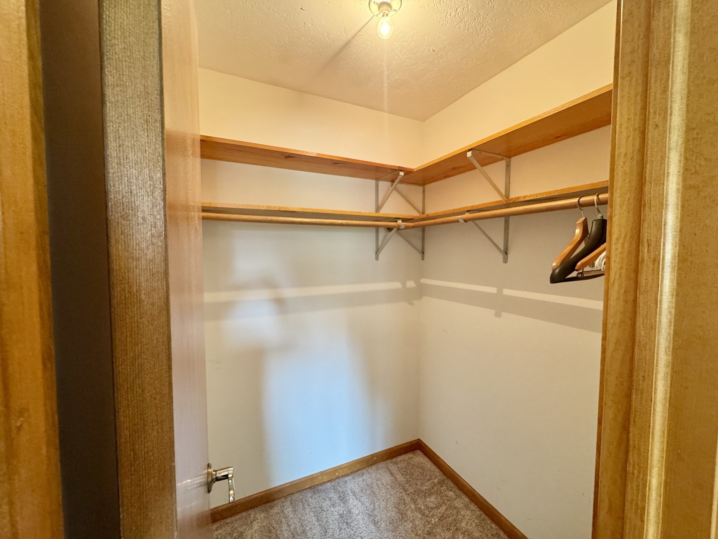 31 Colonial Drive Clinton, IL 61727 - Photo 19 of 24 a view of walk in closet