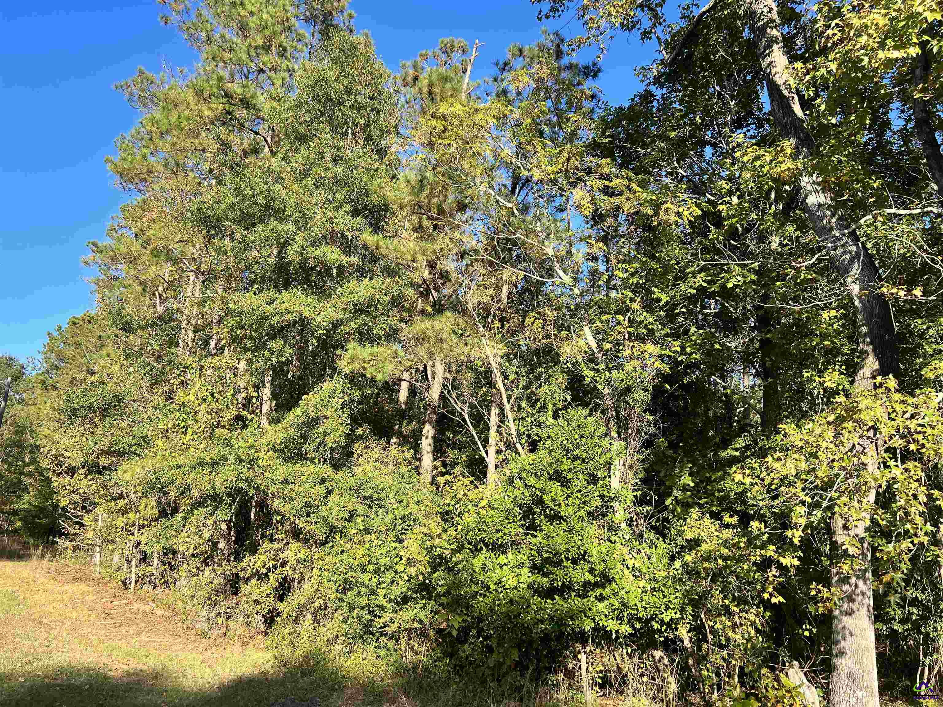2382 Gallimore Mill Road Danville, GA 31017 - Photo 57 of 80