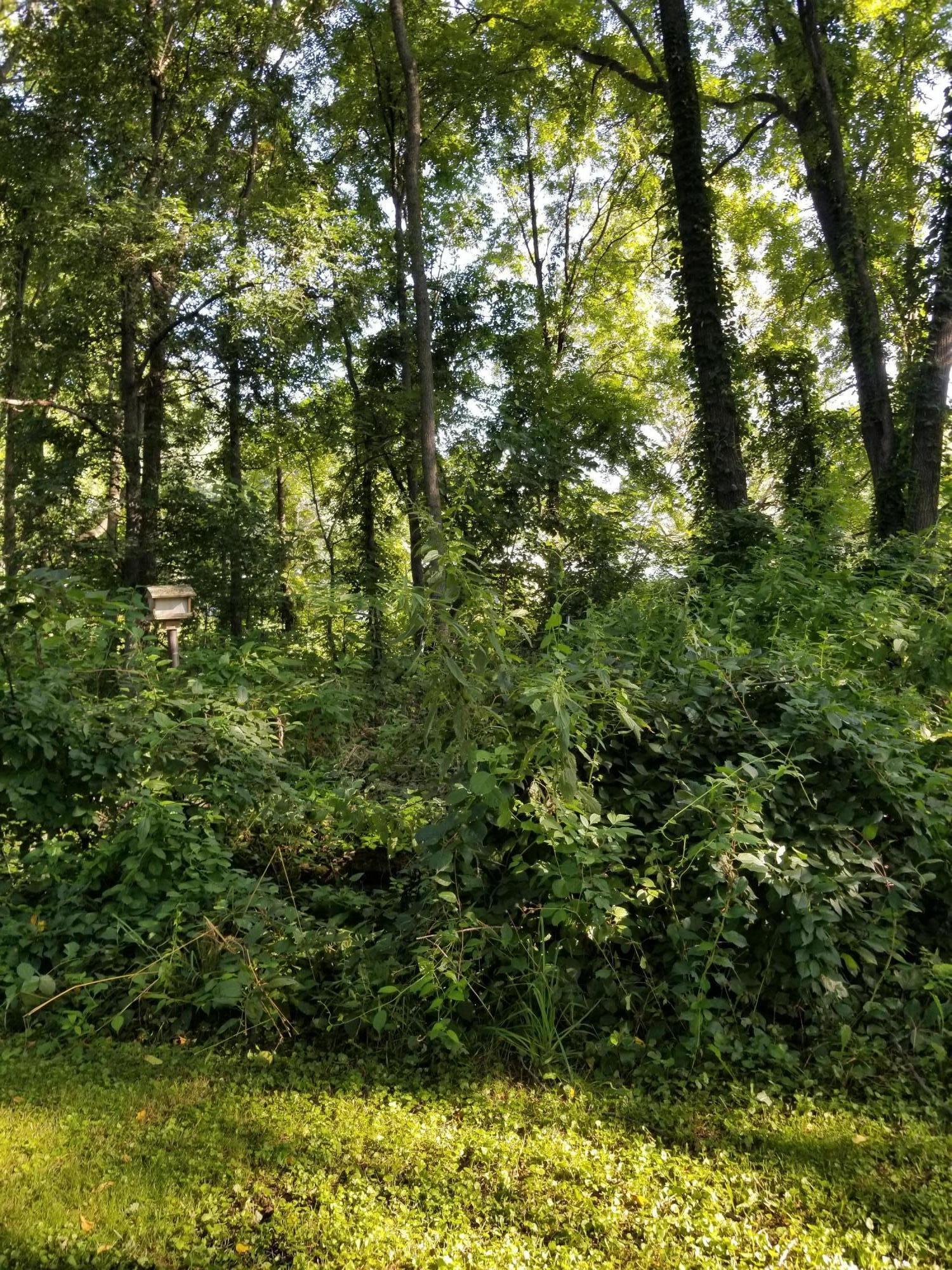 8546 South Berridge Road Greenville, MI 48838 - Photo 12 of 16 8546 S BerridgeRD