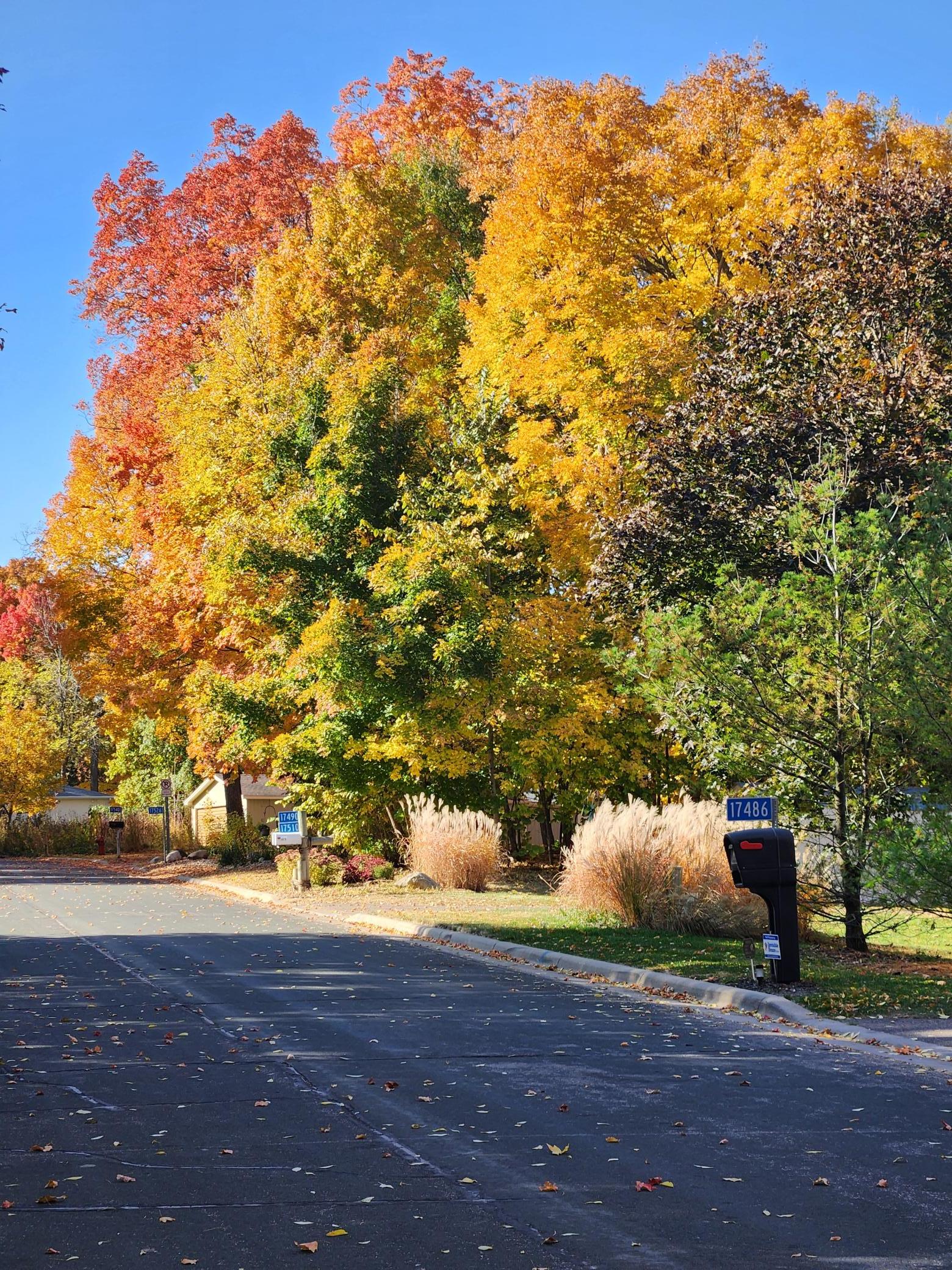 17570 Vergus Avenue Jordan, MN 55352 - Photo 51 of 60