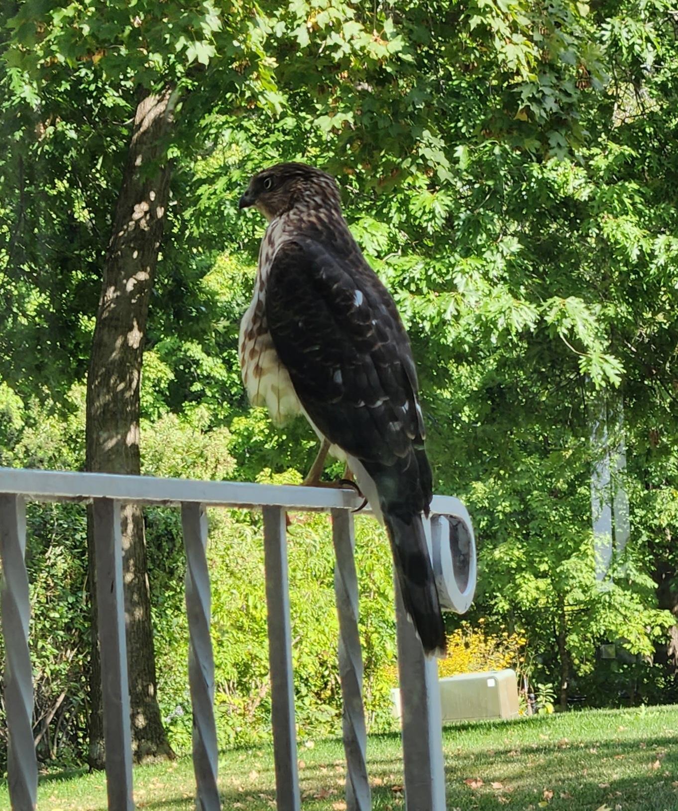 17570 Vergus Avenue Jordan, MN 55352 - Photo 55 of 60