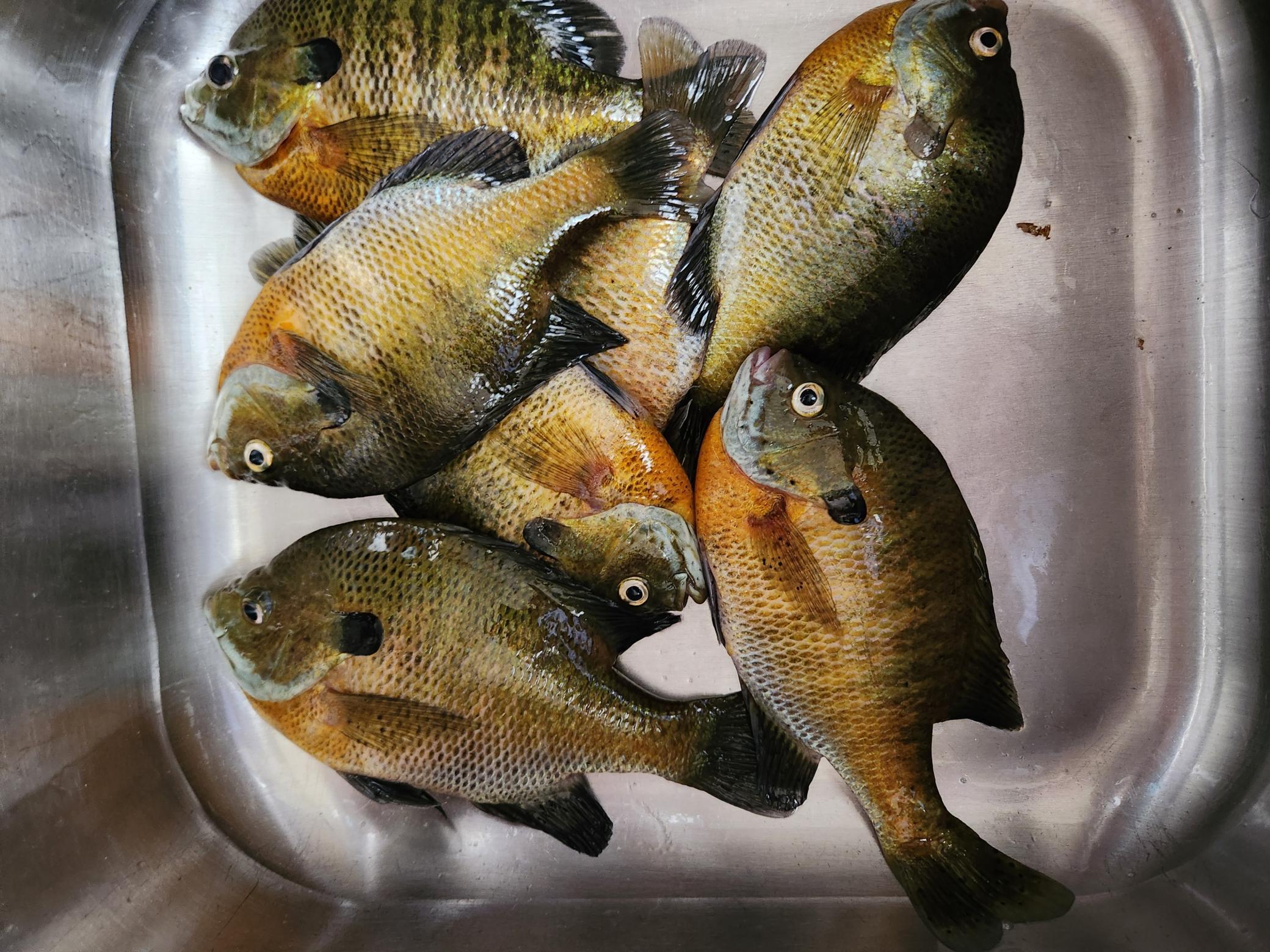 17570 Vergus Avenue Jordan, MN 55352 - Photo 56 of 60