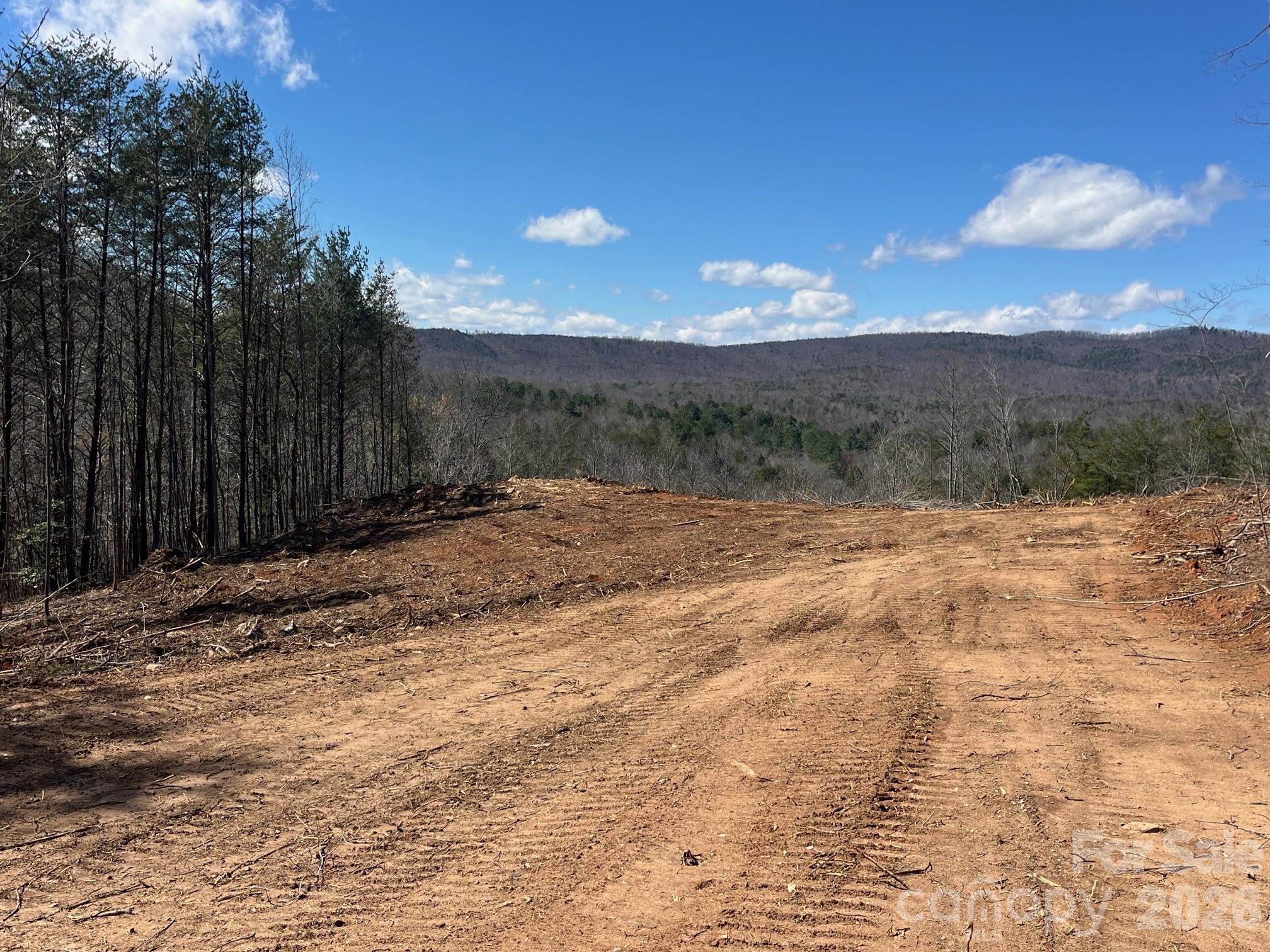 V/l Vein Mountain Road, Unit 2 Nebo, NC 28761 - Photo 11 of 15 a view of pathway with a yard