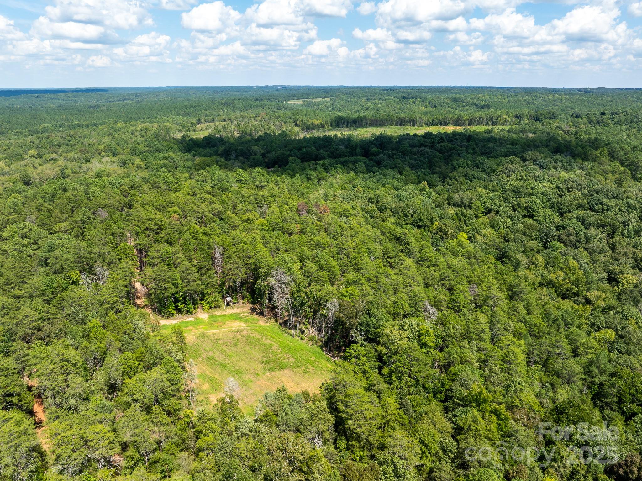 2787 Center Road Chester, SC 29706 - Photo 8 of 48