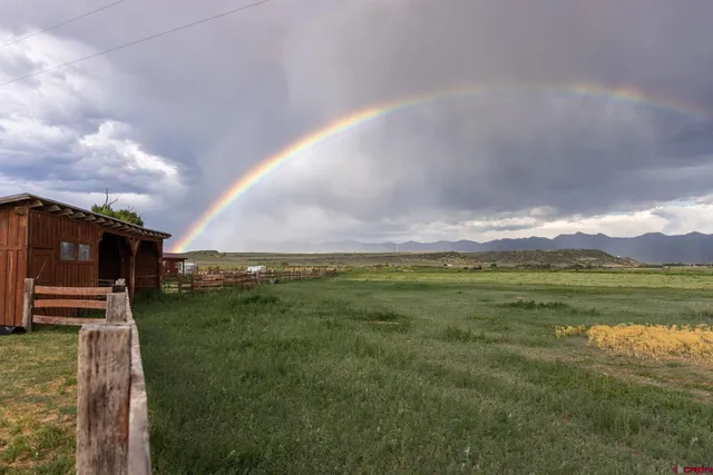a view of a big yard with table and chairs a barbeque