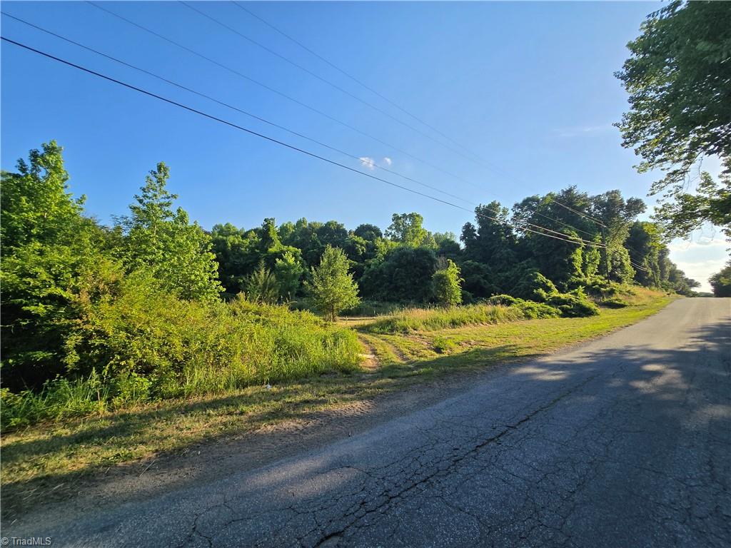 217 Cedar Ridge Road Randleman, NC 27317 - Photo 15 of 18