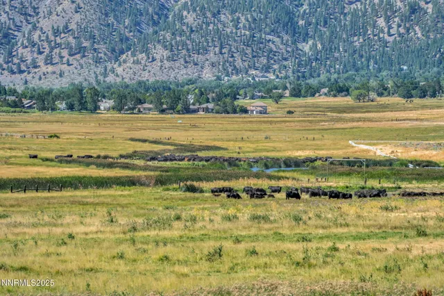 a view of a water with an ocean beach