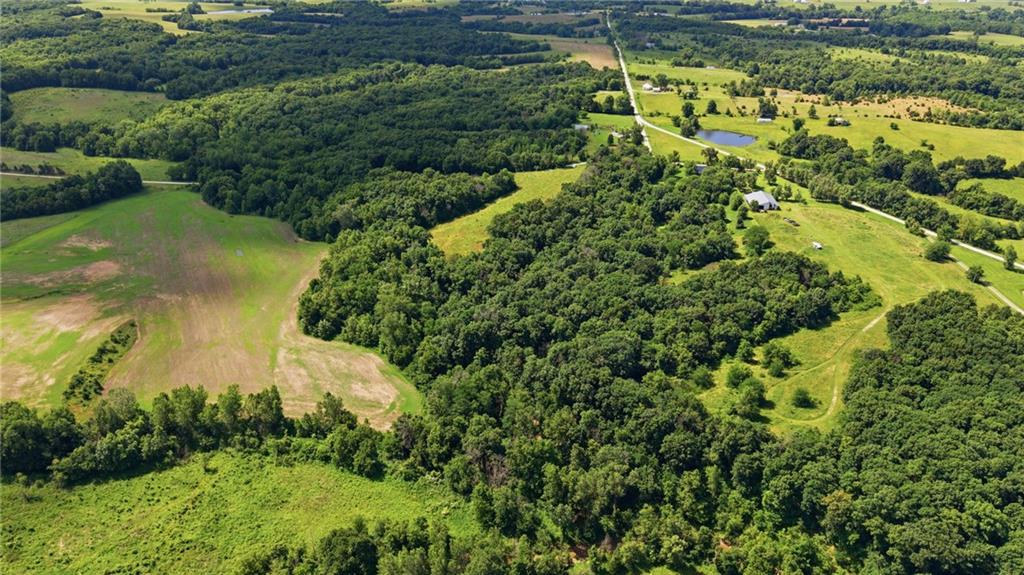 Faulk Road Purdin, MO 64674 - Photo 10 of 14