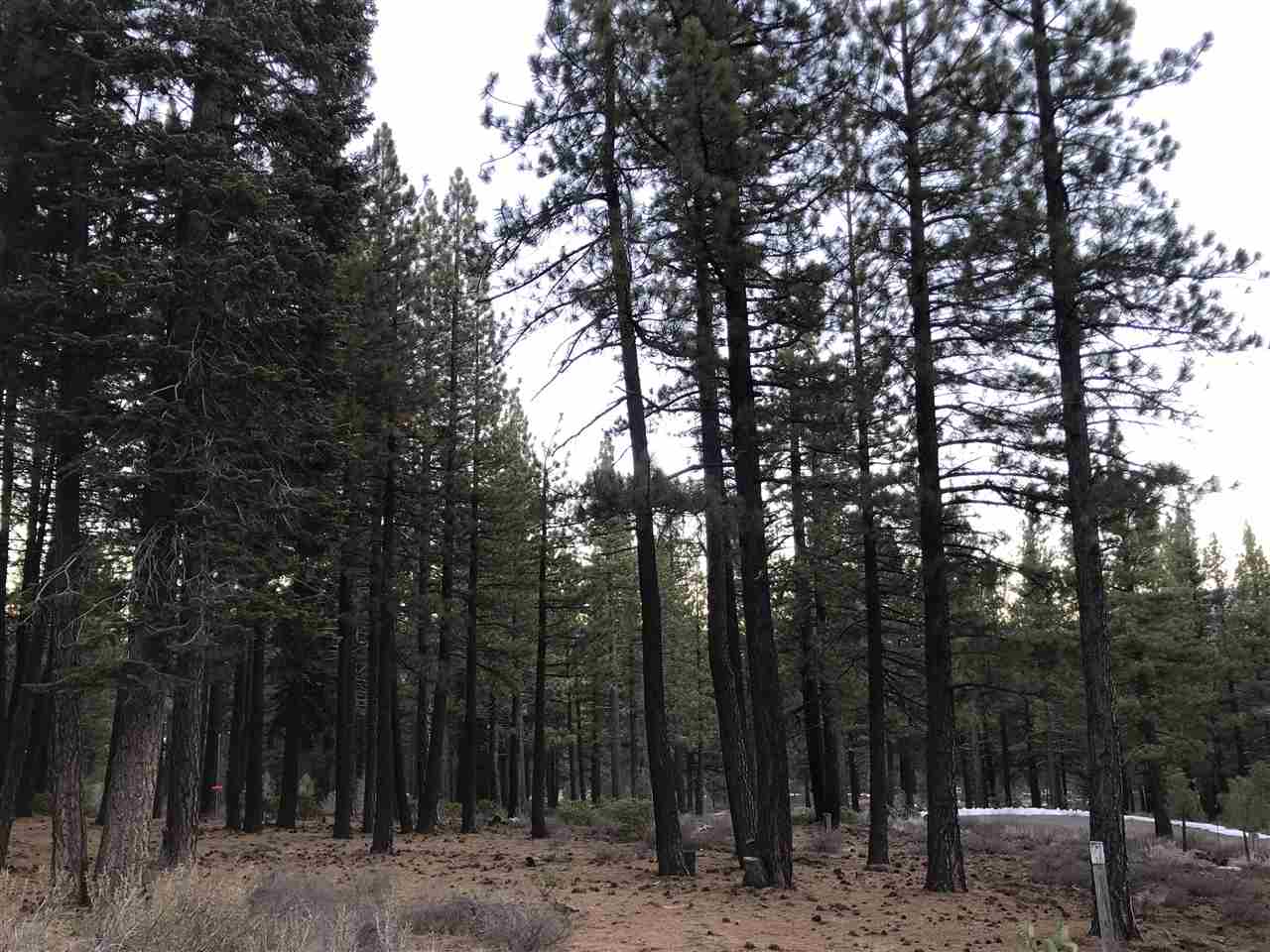 11493 China Camp Road Truckee, CA 96161 - Photo 1 of 3 Gallery Image 1