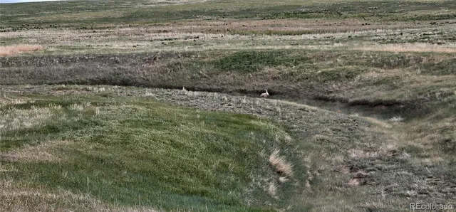 $150,000 | Wa County Road, Cope, CO 80812