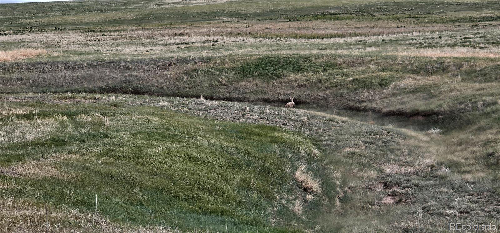 Wa County Road Cope, CO 80812 - Photo 45 of 48 a view of a dry yard with wooden floor