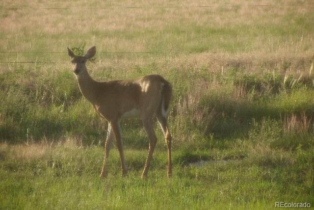 Wa County Road Cope, CO 80812 - Photo 9 of 48 a close view of lake