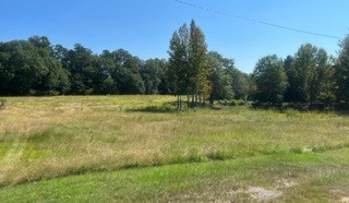 0 Old Vienna Road Abbeville, SC 29620 - Photo 2 of 8 Gallery Image 2