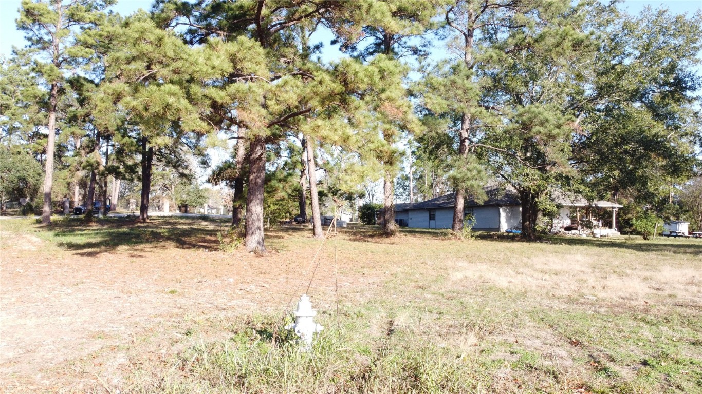 14163 Teel Road Montgomery, TX 77356 - Photo 3 of 18