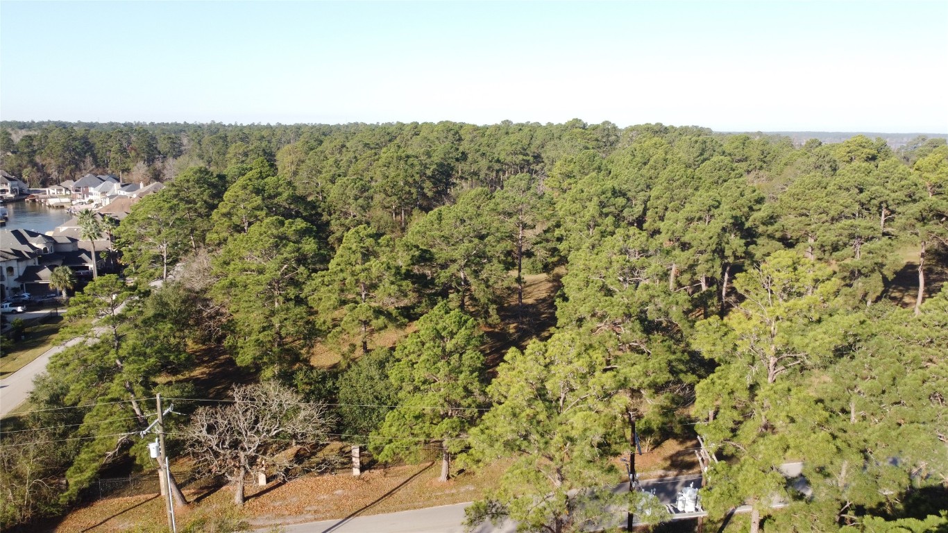 14163 Teel Road Montgomery, TX 77356 - Photo 5 of 18