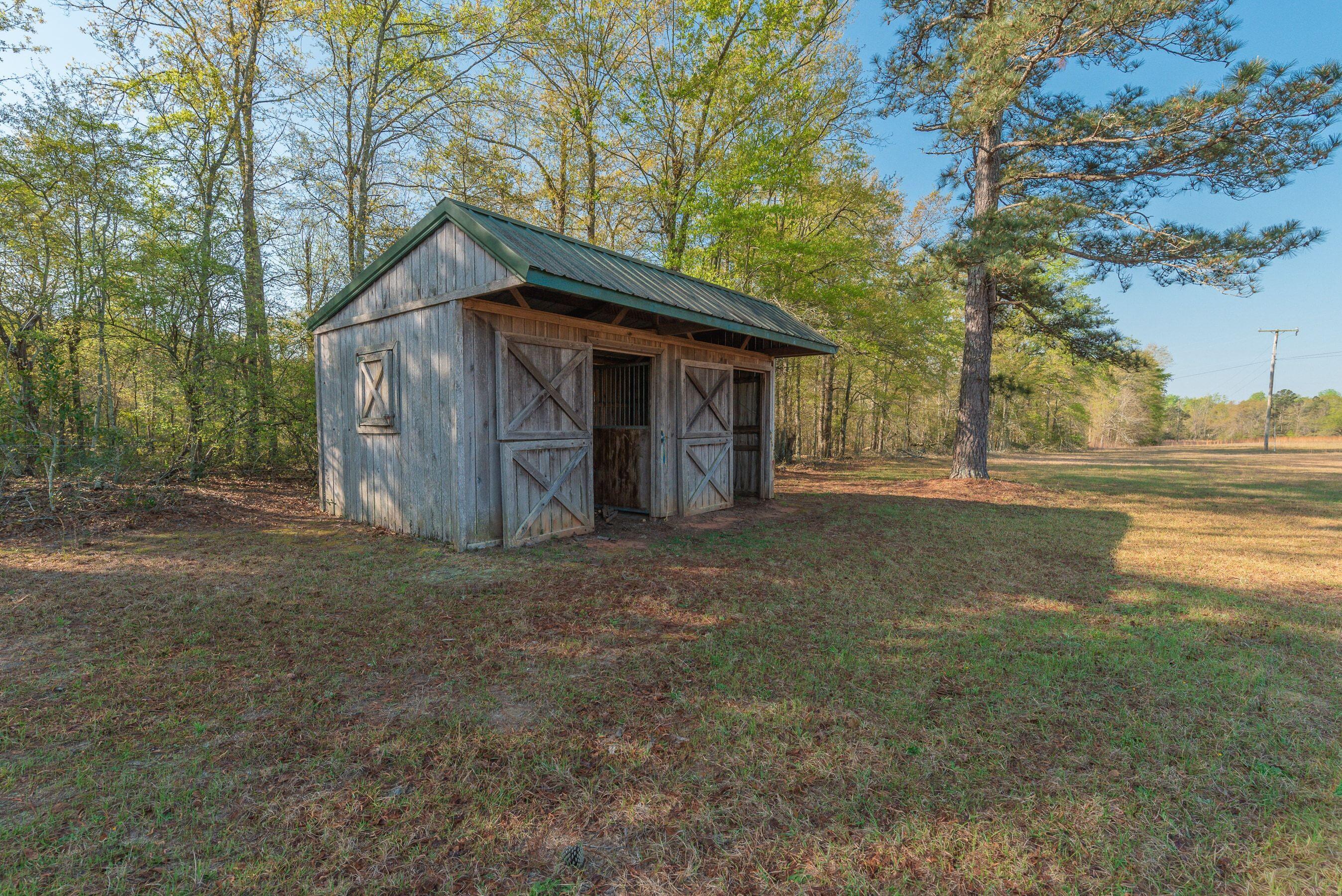 252 Moseley Road Williston, SC 29853 - Photo 49 of 64