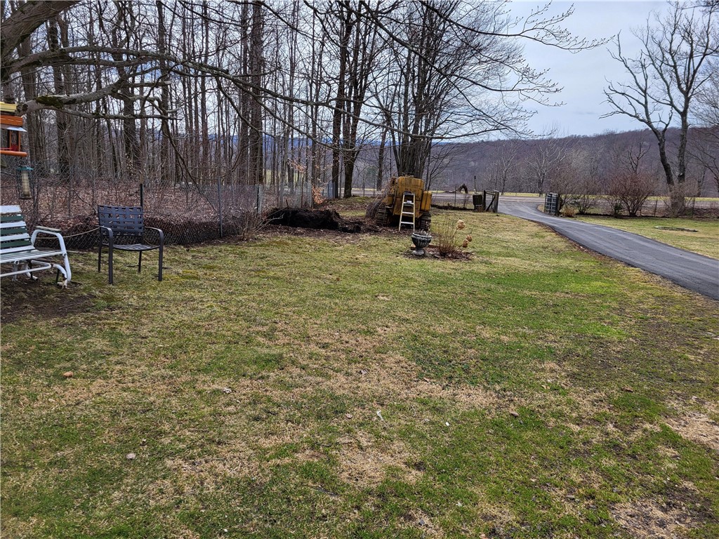 538 Ceresna Road Delhi, NY 13753 - Photo 23 of 33 front yard looking toward rd