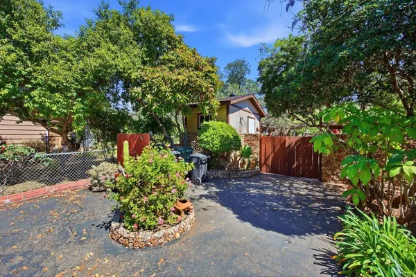 a view of a garden with a tree