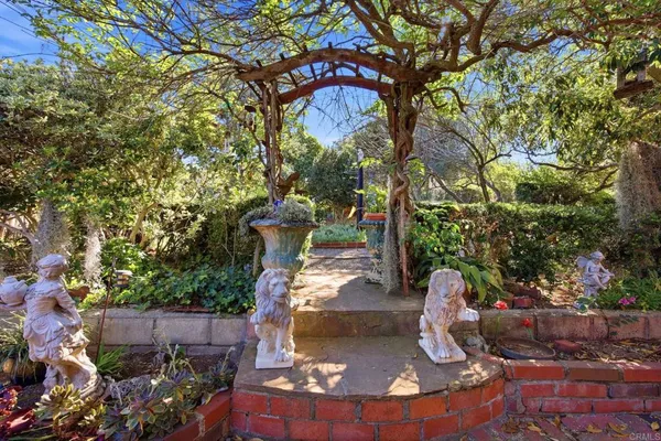 a view of a yard with plants and trees