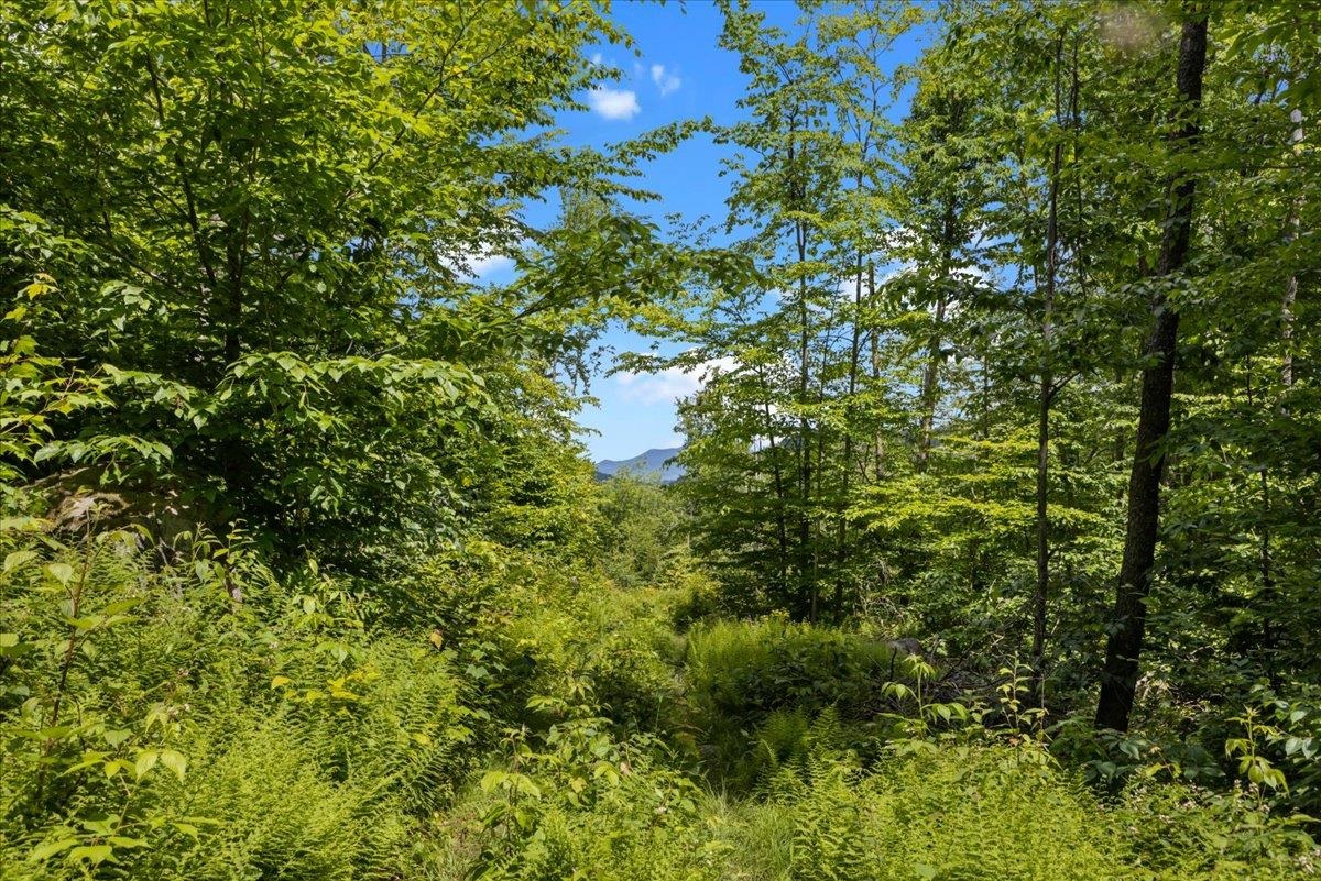 Lot 1 Marshall Road Waterbury, VT 05676 - Photo 7 of 14