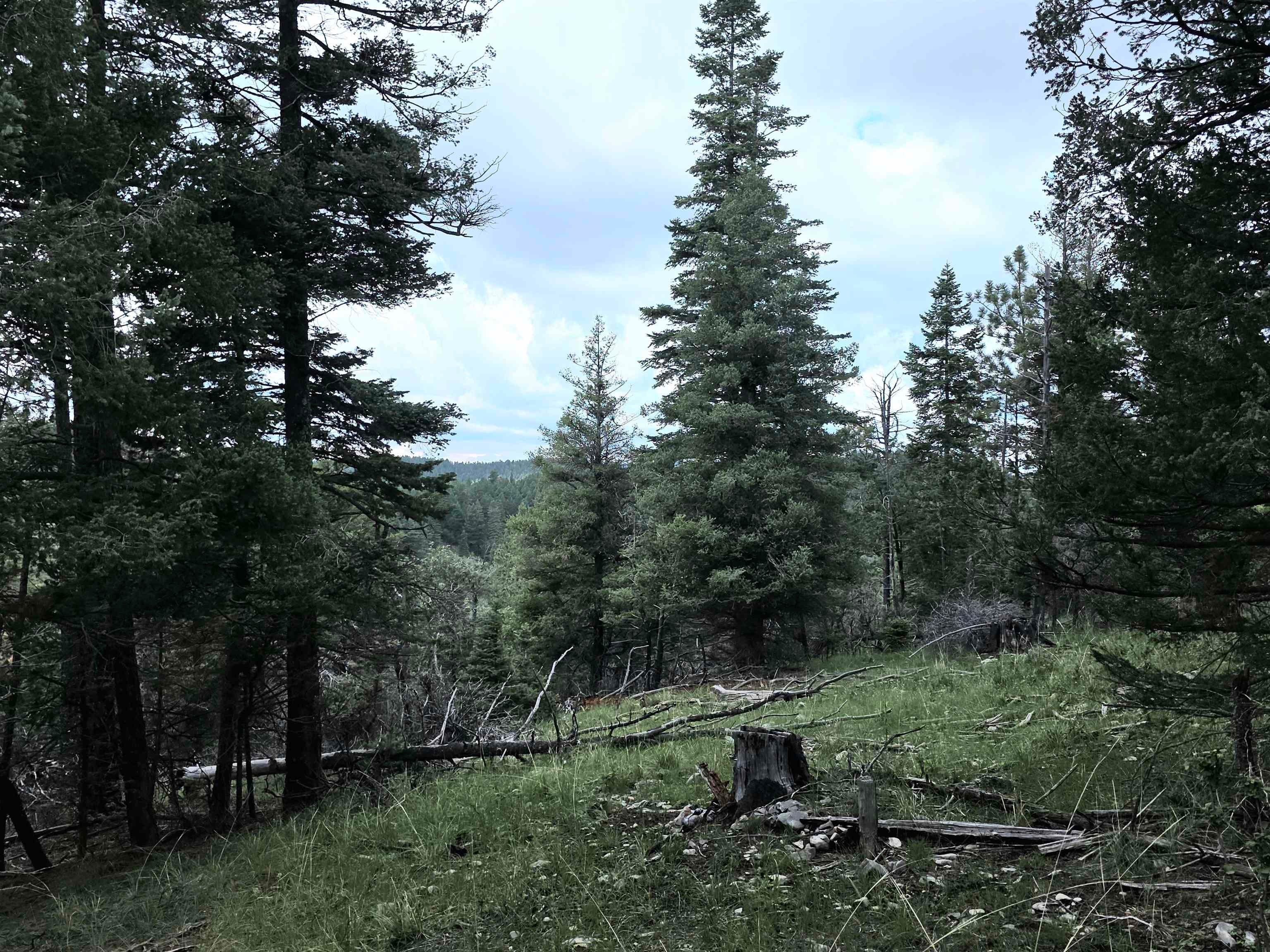 Lot 58 Big Dipper Road Mayhill, NM 88339 - Photo 13 of 50 Gallery Image 13