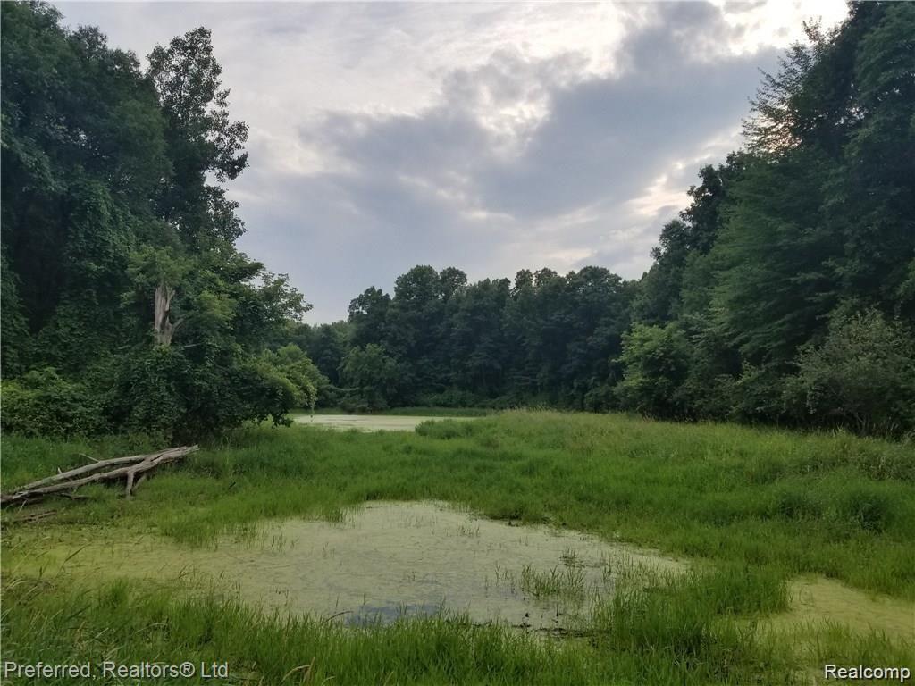 0 West Wardlow Road Highland, MI 48357 - Photo 5 of 6