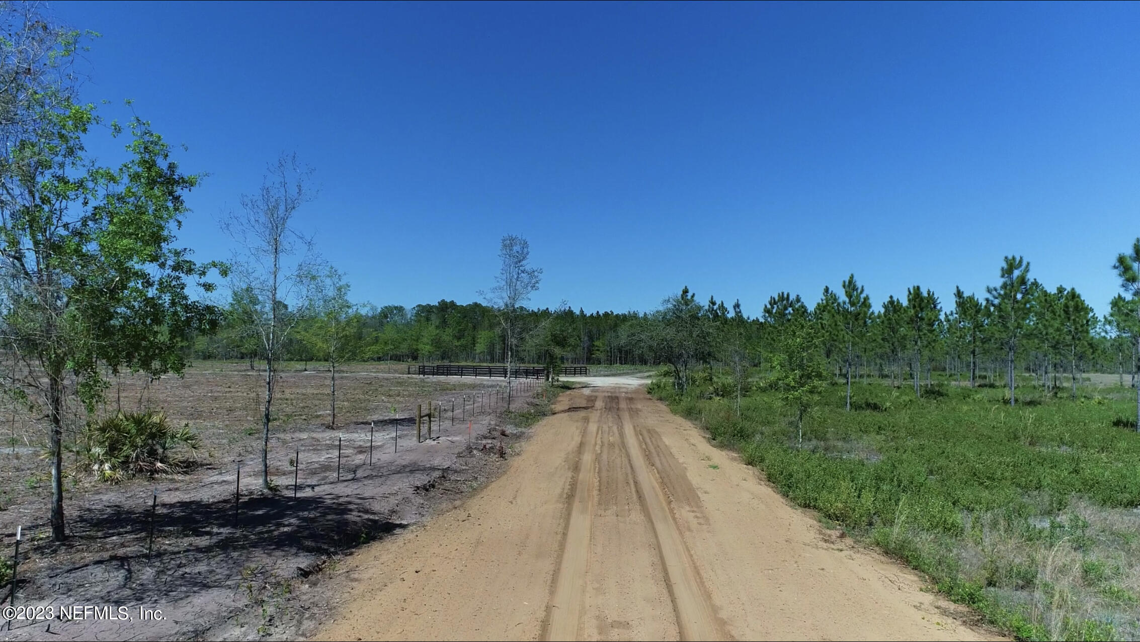 103.08-ac Crawford Road Callahan, FL 32011 - Photo 29 of 33 IMG_3158