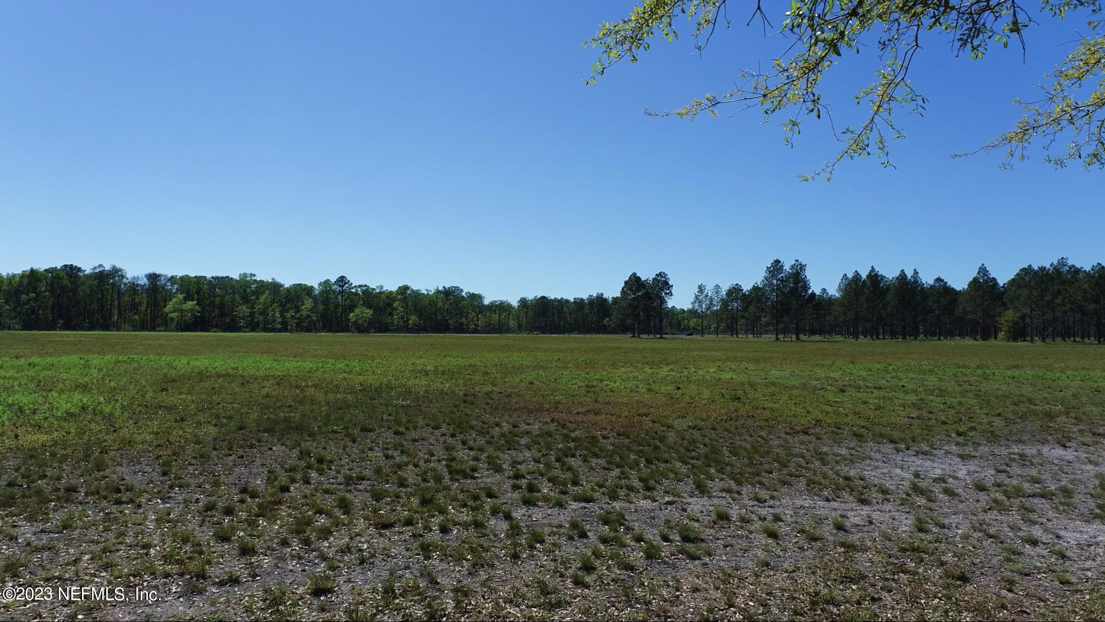 103.08-ac Crawford Road Callahan, FL 32011 - Photo 31 of 33 IMG_3164