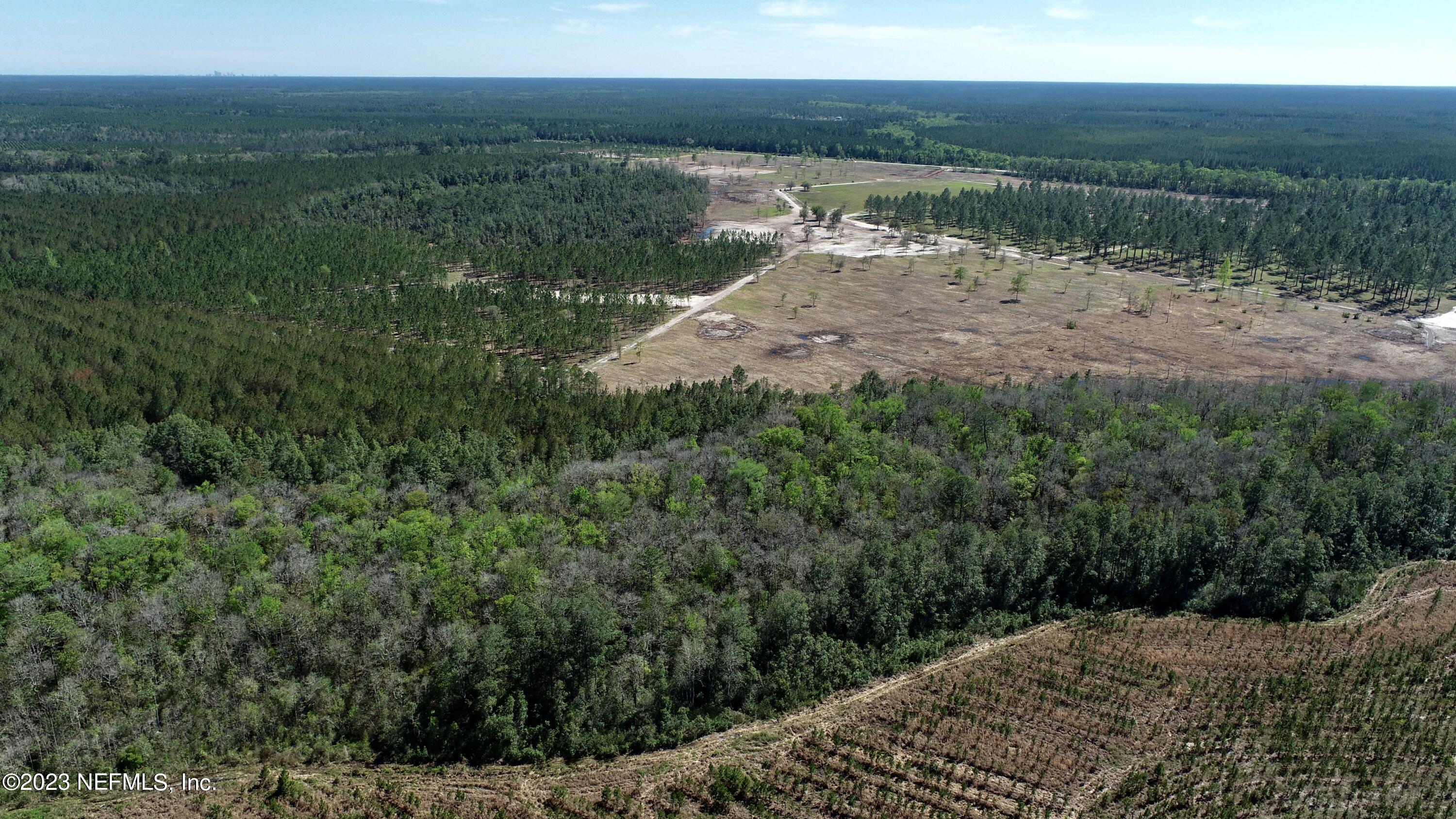 103.08-ac Crawford Road Callahan, FL 32011 - Photo 9 of 33 DJI_0402