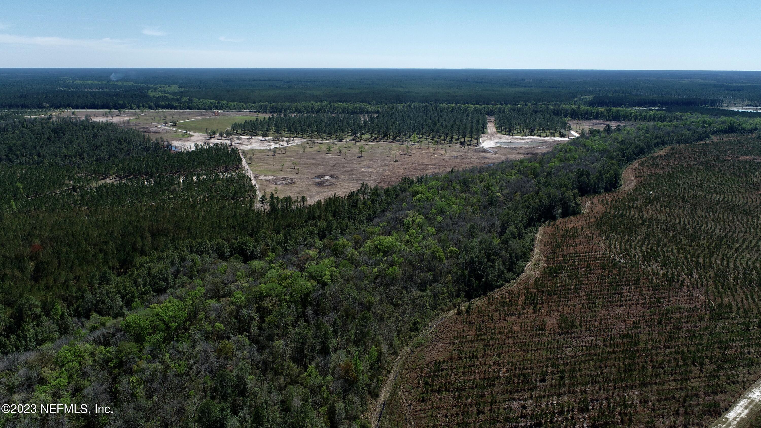 103.08-ac Crawford Road Callahan, FL 32011 - Photo 10 of 33 DJI_0403