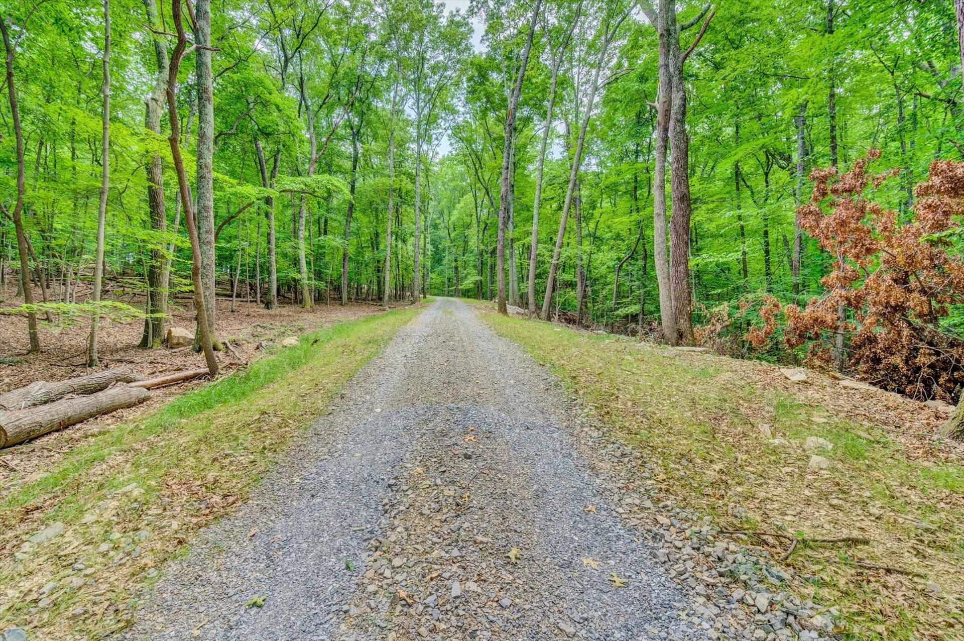 156 Ridgeview Circle Roanoke, VA 24019 - Photo 30 of 36 31-SHOWS GREAT-160-Henry