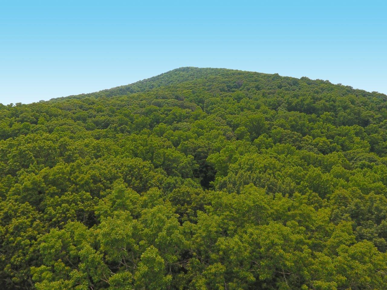 156 Ridgeview Circle Roanoke, VA 24019 - Photo 31 of 36 DJI_0010-Henry-Drone